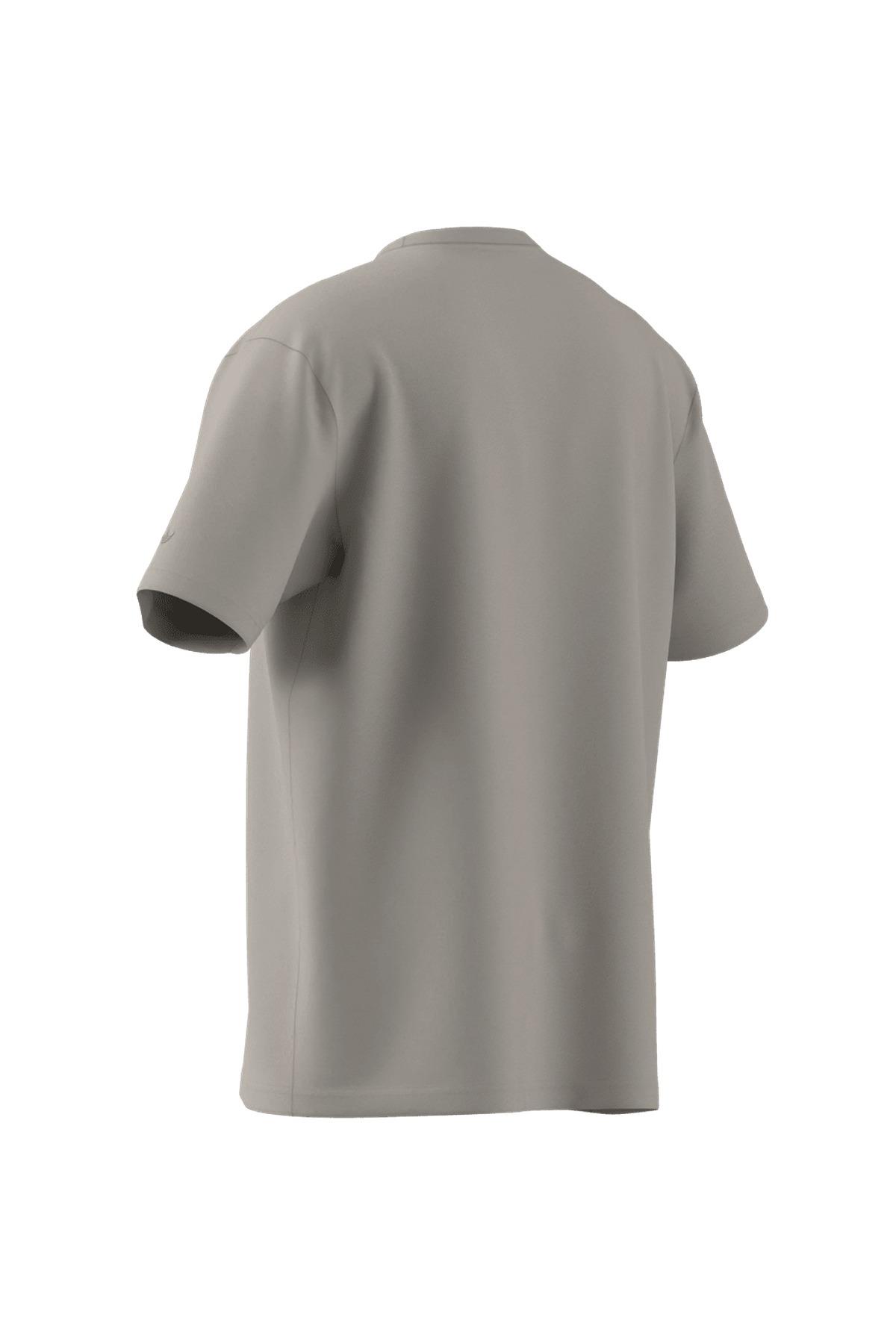 adidas Erkek  Bej  T-shirt GRAPHIC LO SS T JX8157