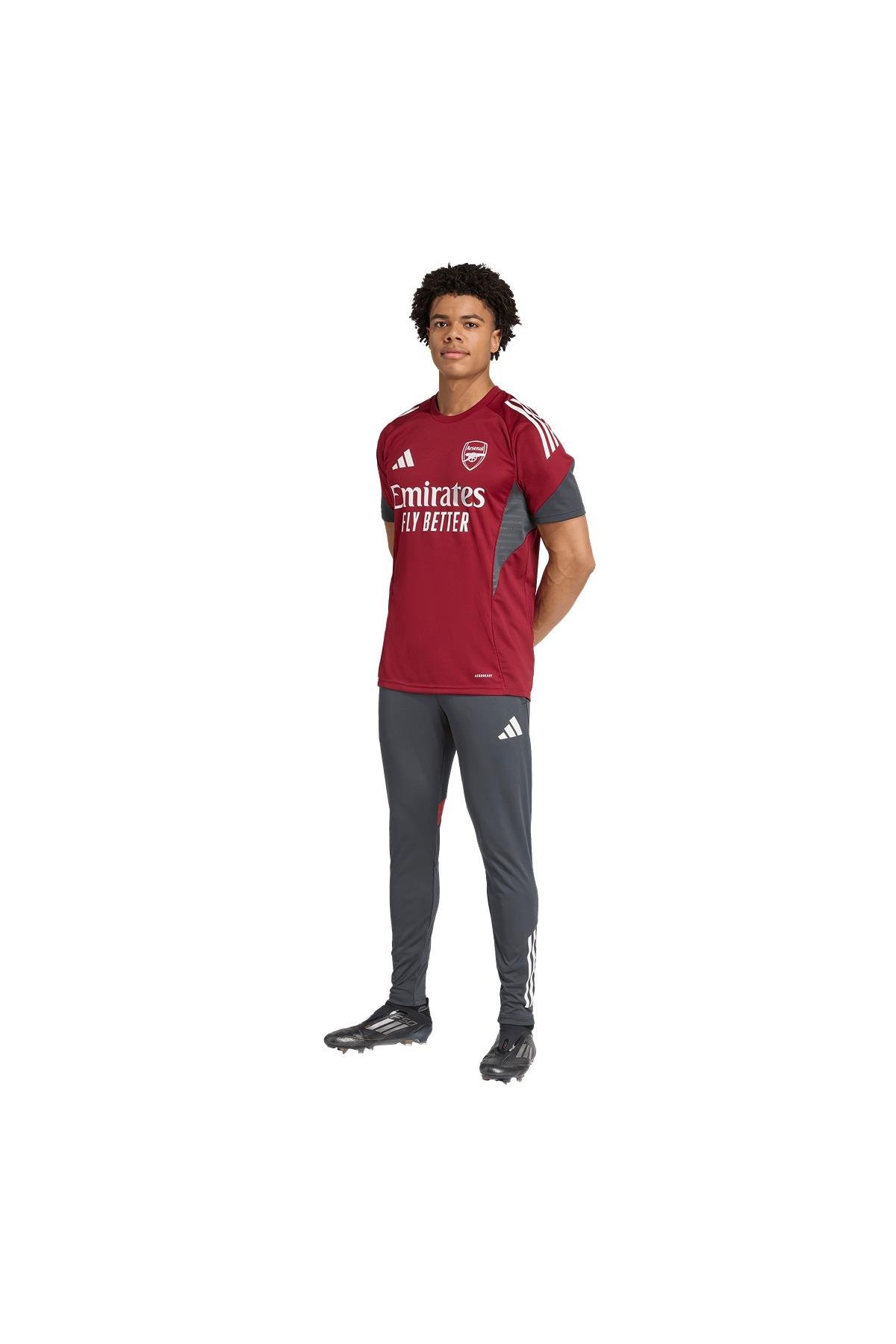 adidas Erkek  Bordo  Forma AFC EU TR JSY JI9568