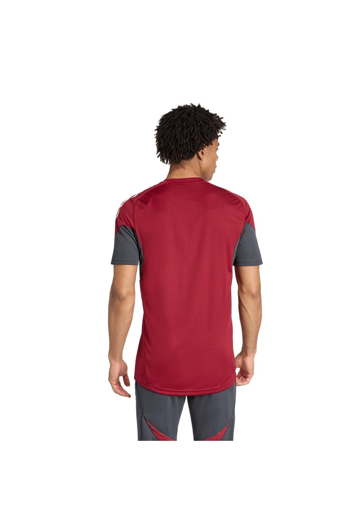 adidas Erkek  Bordo  Forma AFC EU TR JSY JI9568