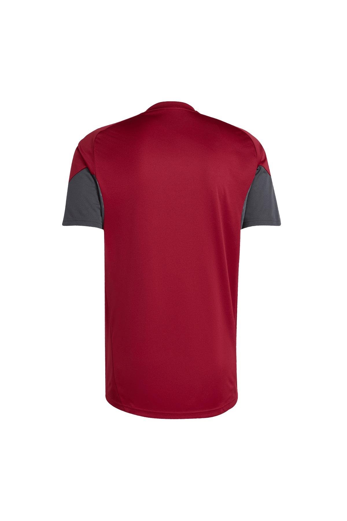 adidas Erkek  Bordo  Forma AFC EU TR JSY JI9568