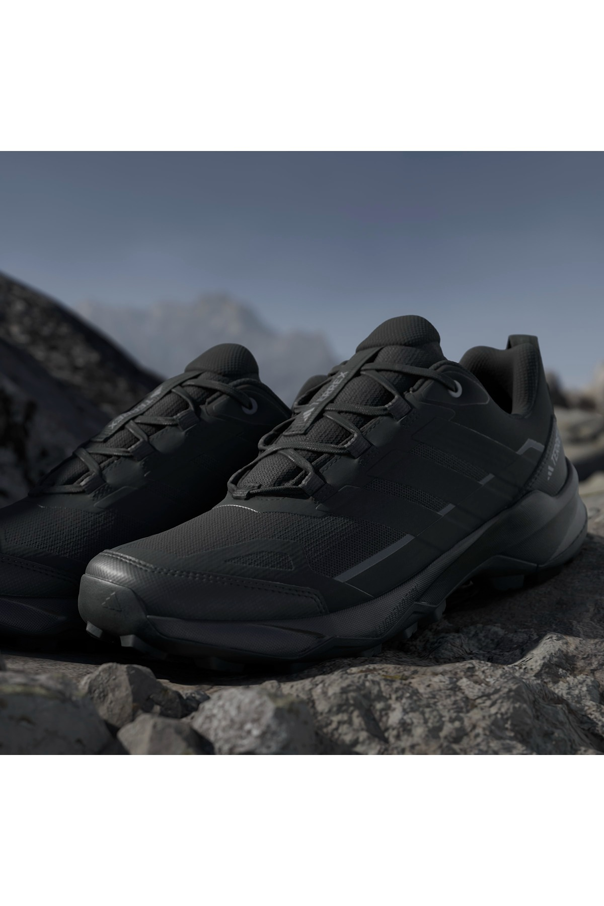 adidas Erkek Bot TERREX SKYCHASER AX5 JQ2215