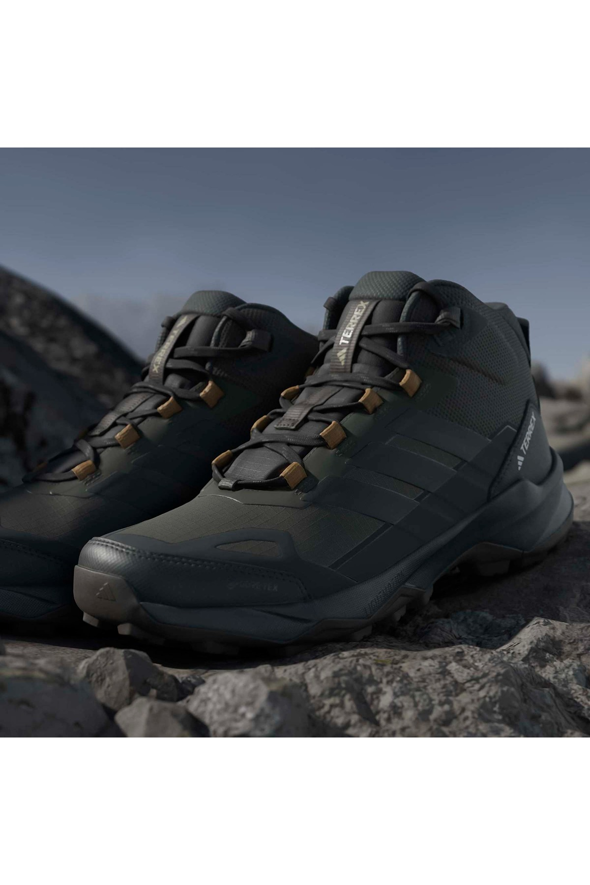 adidas Erkek Bot TERREX SKYCHASER AX5 MID GTX JR3980