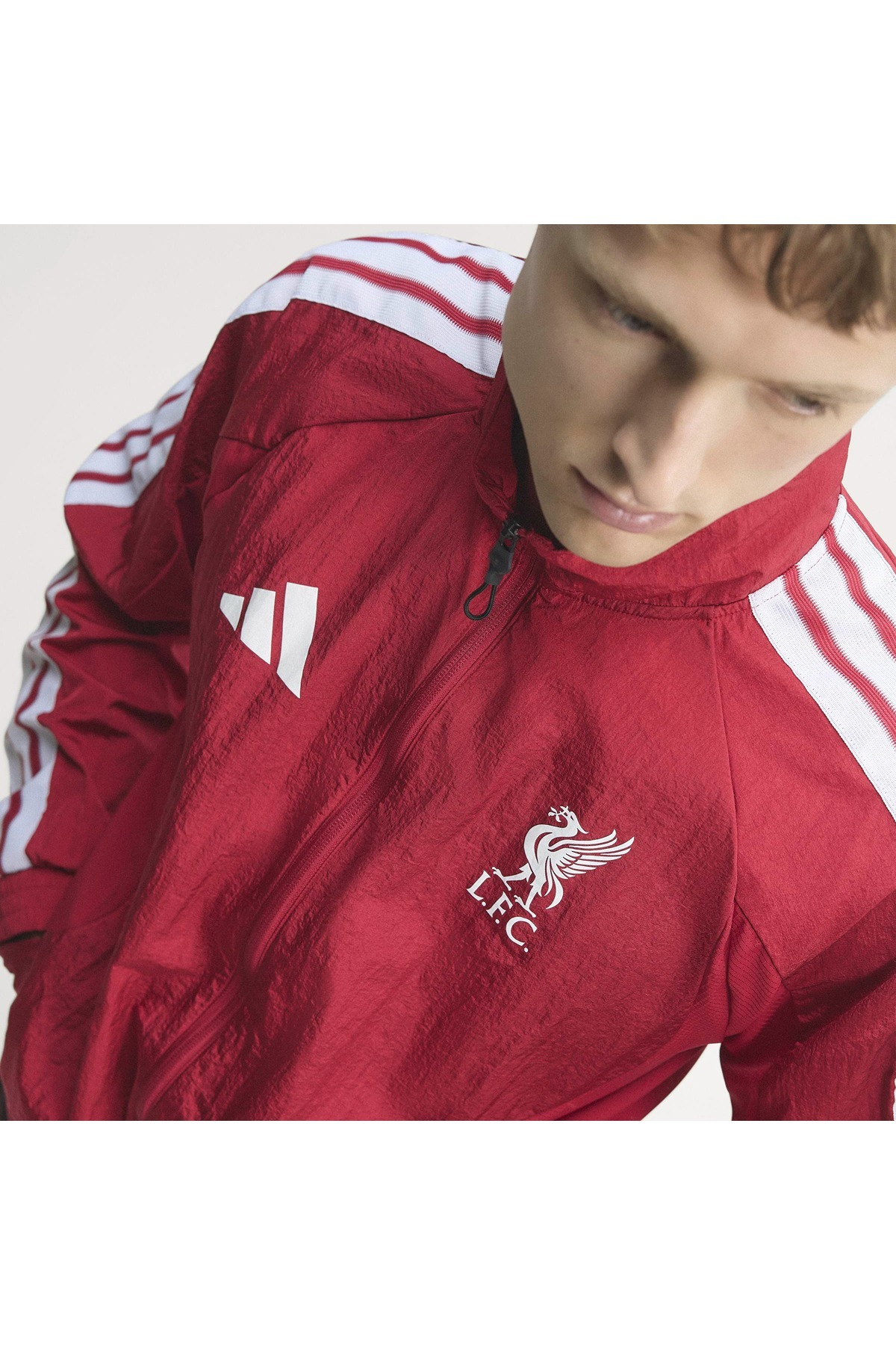 adidas Erkek Ceket LFC H ANTH KV6736