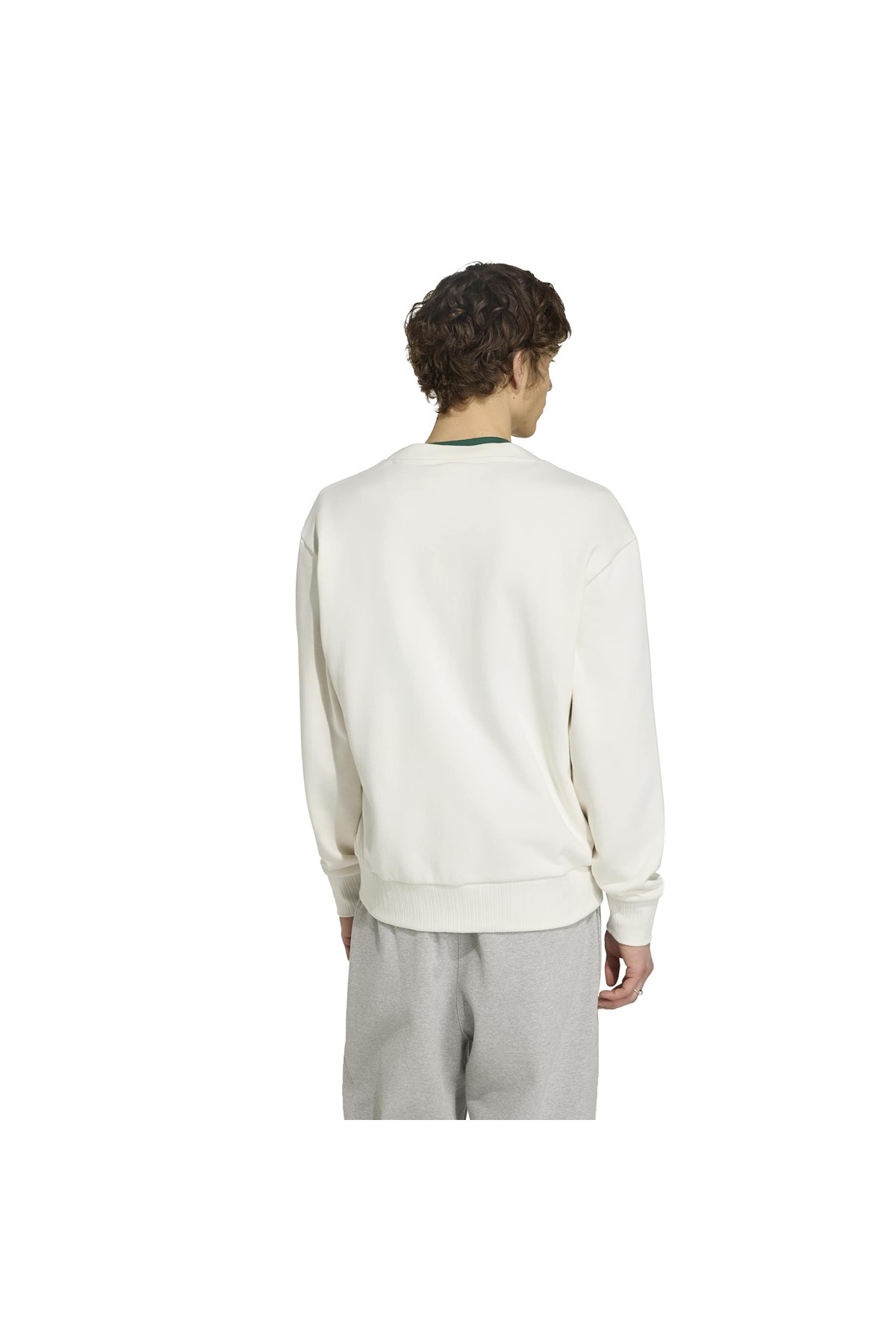 adidas Erkek Ceket VARSITY CARDIGAN IB7093