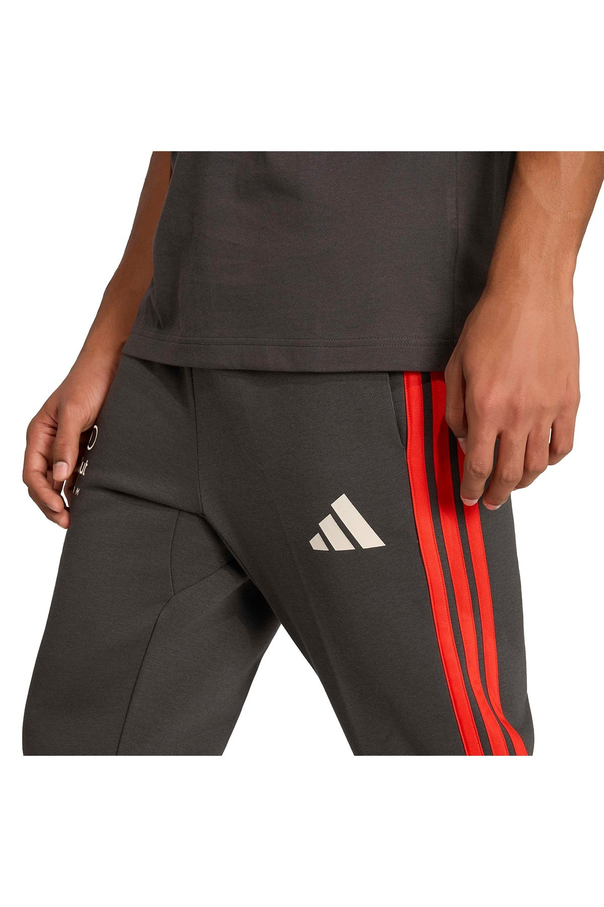 adidas Erkek Eşofman Altı AU DNA PNT M KE6783