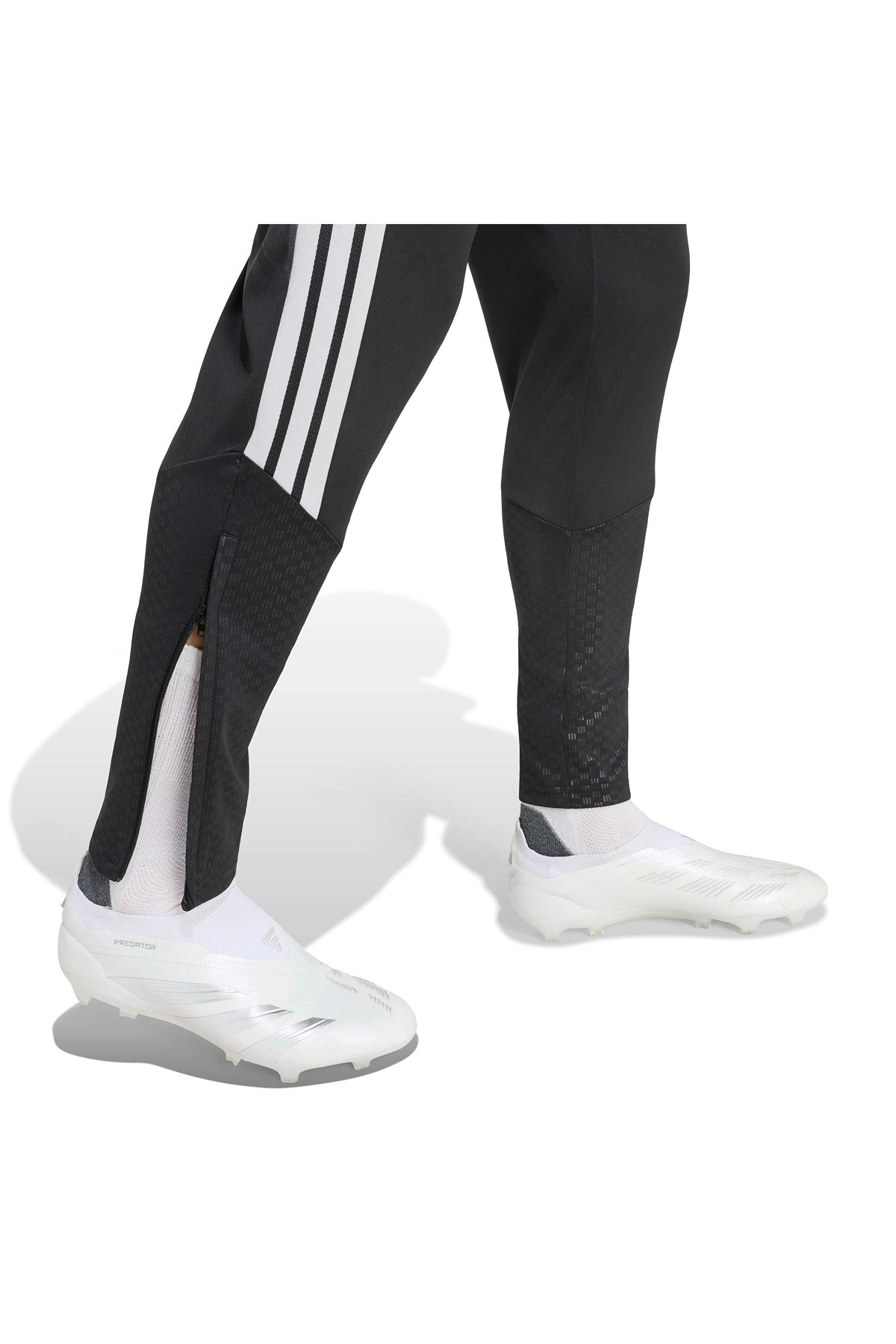 adidas Erkek Eşofman Altı LFC TR PNT KB5741