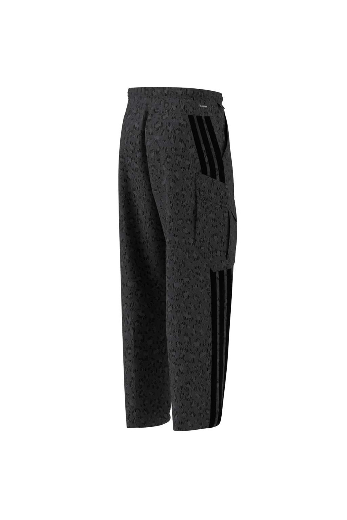 adidas Erkek Eşofman Altı Terrex Xploric CLIMA365 Cargo Pants KF3599