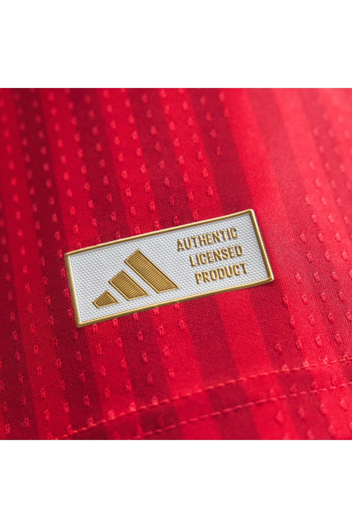 adidas Erkek Forma 
