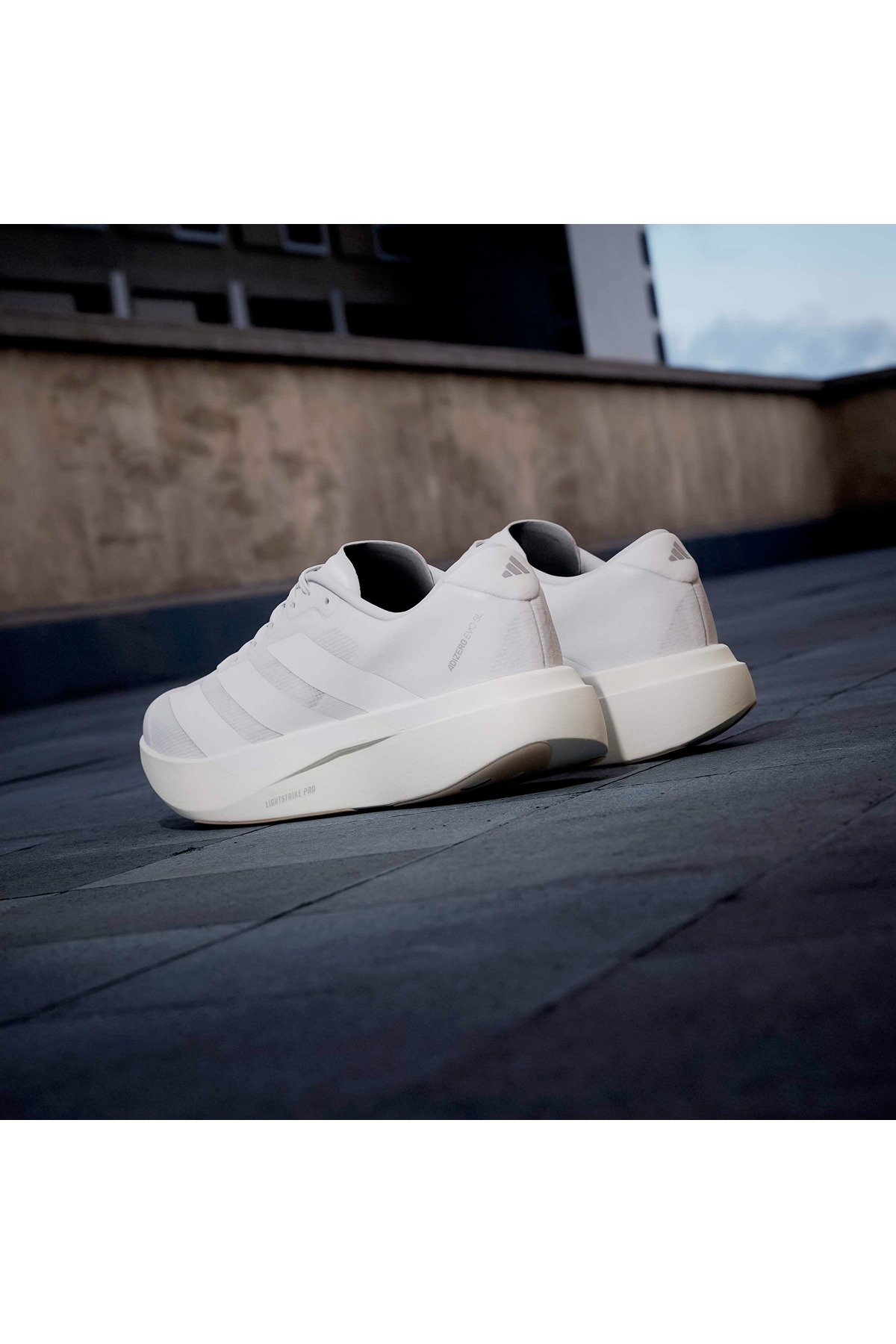 adidas Erkek Koşu Ayakkabısı adizero Evo SL M KI6923