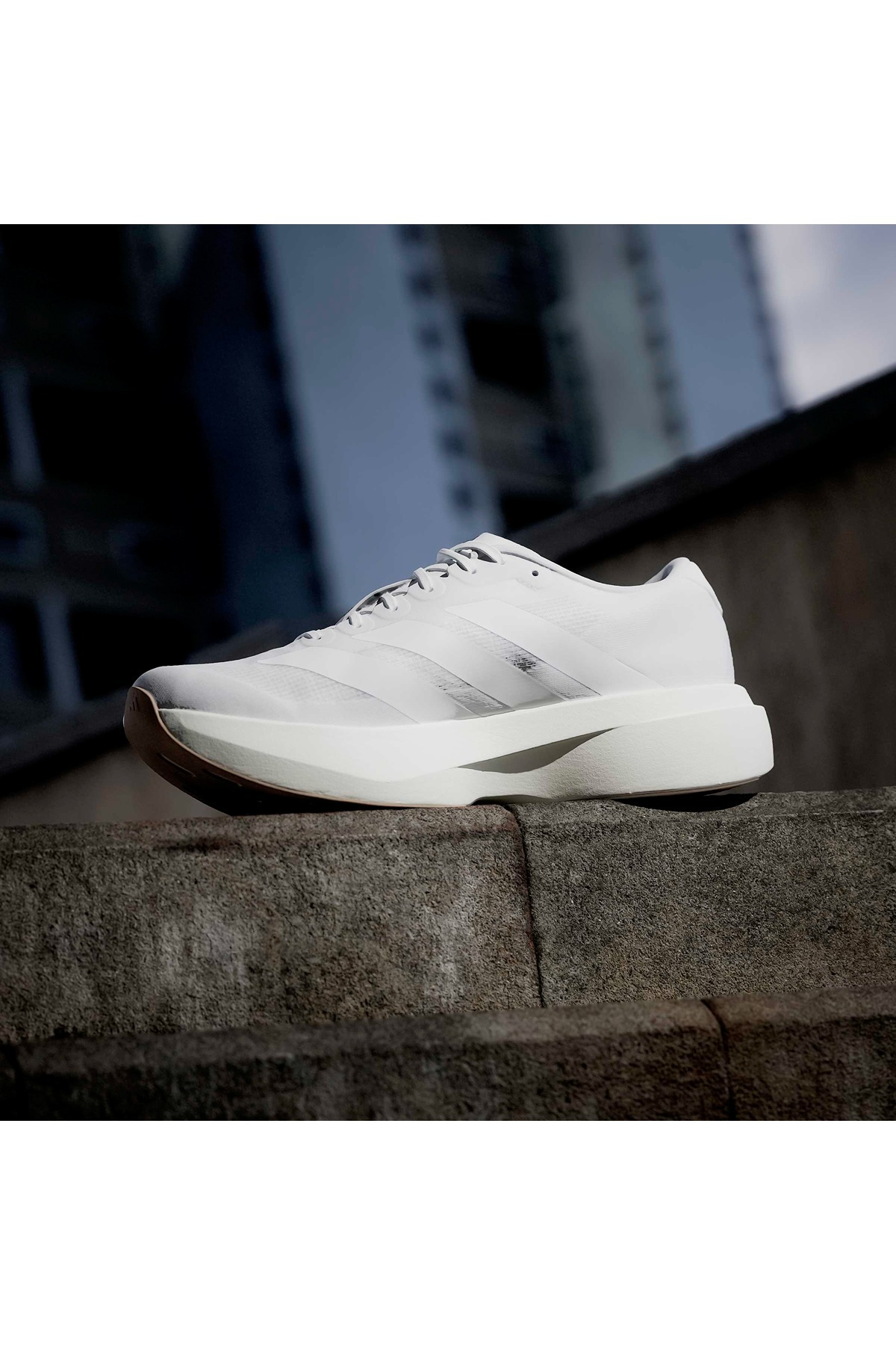 adidas Erkek Koşu Ayakkabısı adizero Evo SL M KI6923