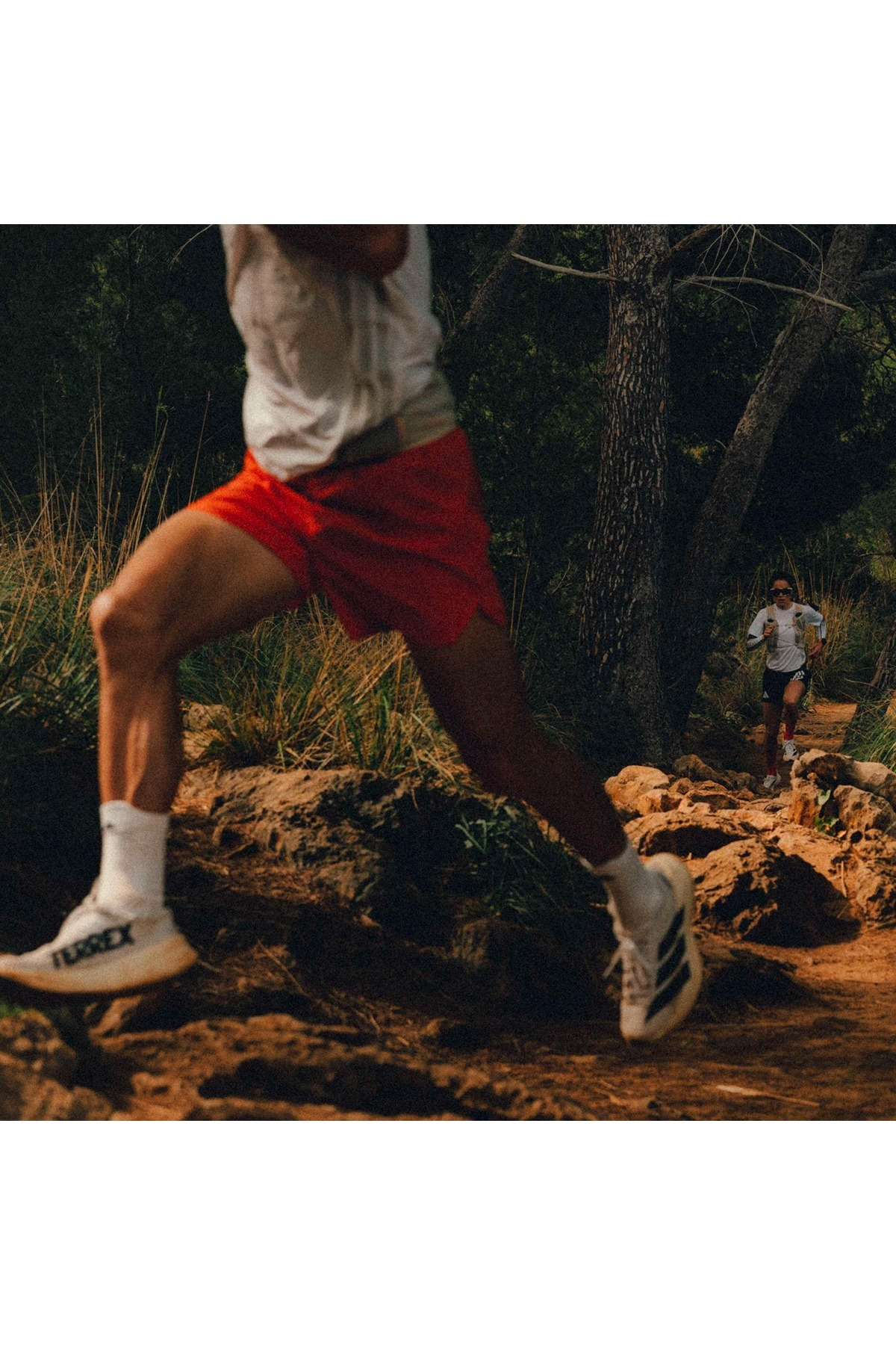 adidas Erkek Koşu Ayakkabısı TERREX AGRAVIC SL KH8800