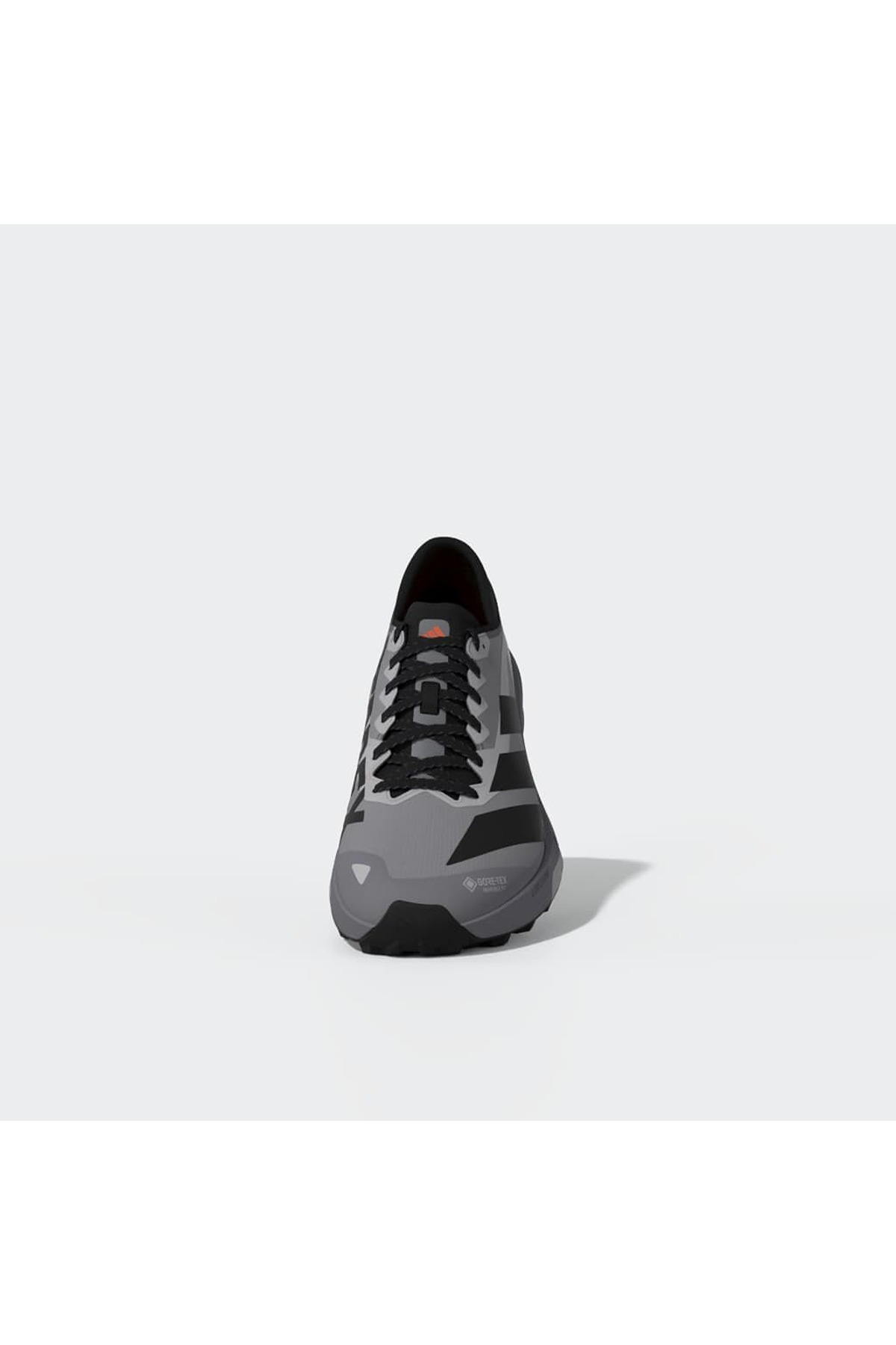 adidas Erkek Koşu Ayakkabısı TERREX AGRAVIC GTX 2 HQ5090