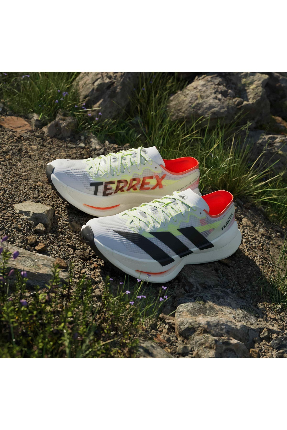 adidas Erkek Koşu Ayakkabısı TERREX AGRAVIC SPEED ULTRA 2 JS3534