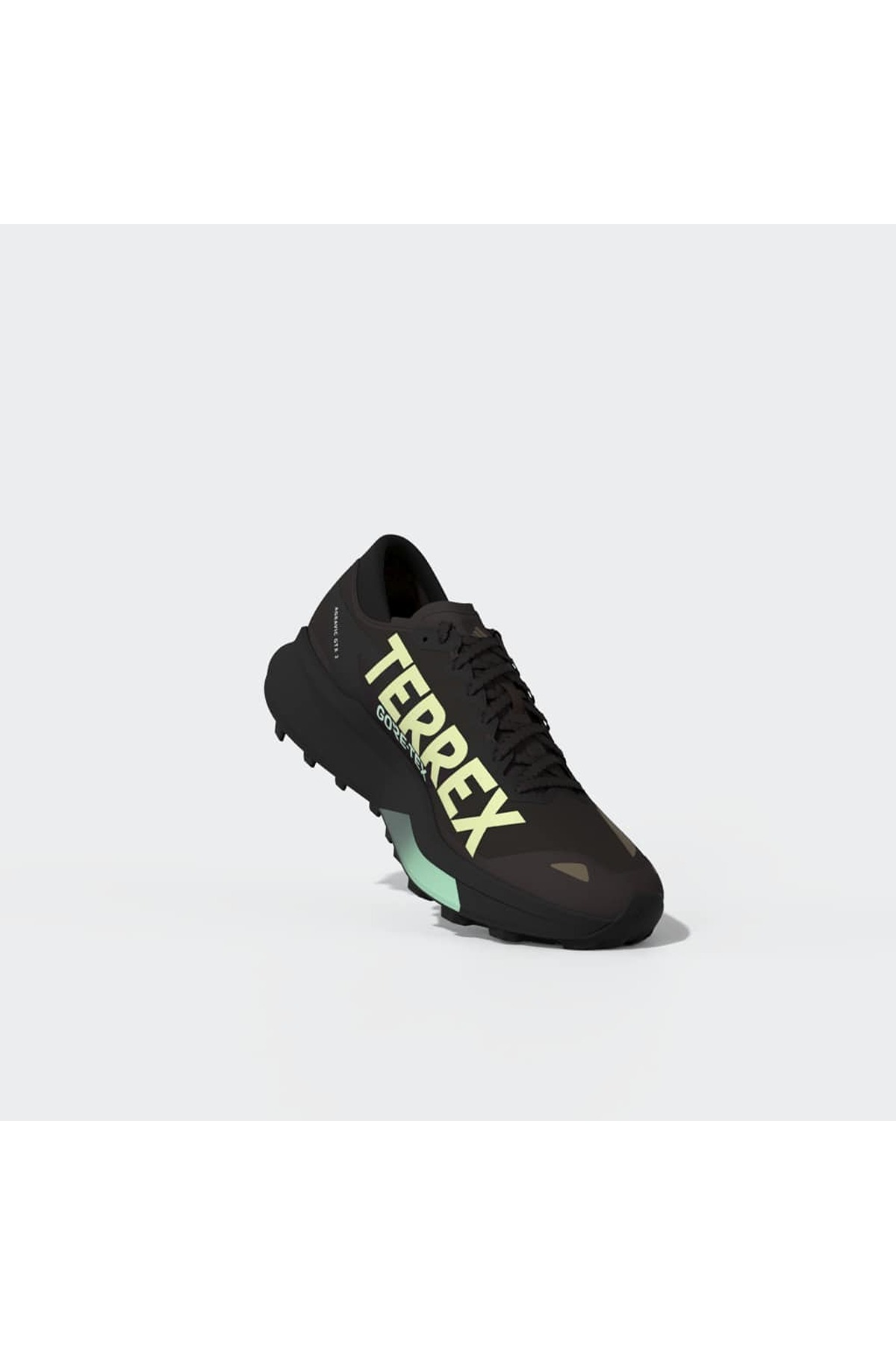 adidas Erkek Koşu Ayakkabısı TERREX AGRAVIC GTX 2 HQ5088