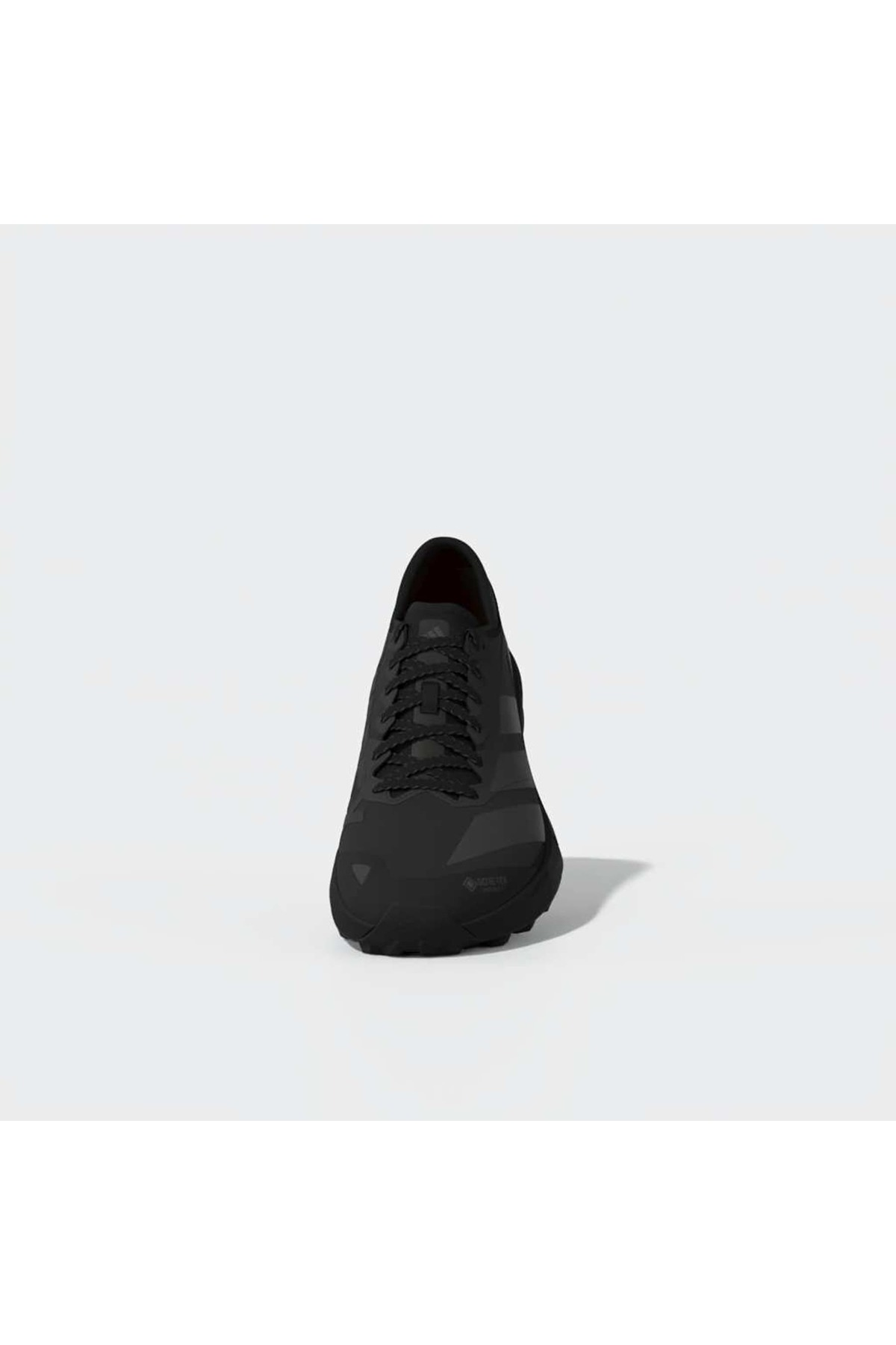 adidas Erkek Koşu Ayakkabısı TERREX AGRAVIC GTX 2 HQ5089