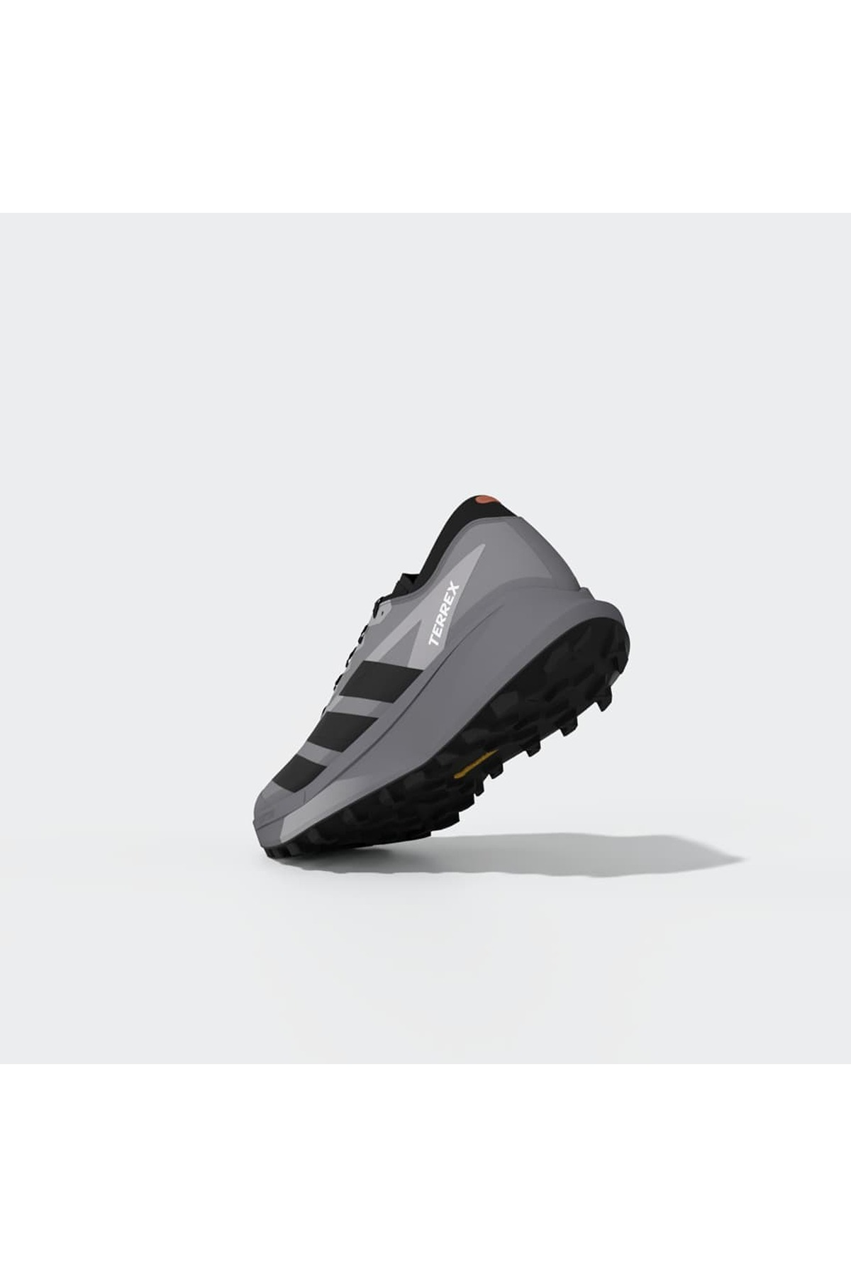 adidas Erkek Koşu Ayakkabısı TERREX AGRAVIC GTX 2 HQ5090