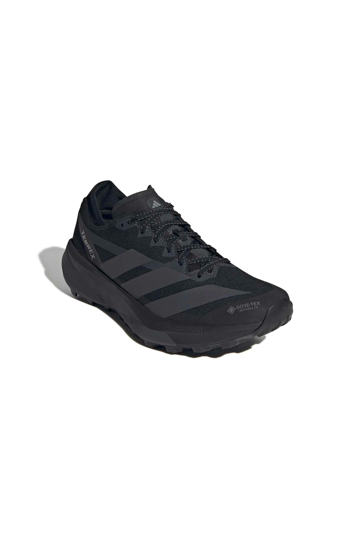 adidas Erkek Koşu Ayakkabısı TERREX AGRAVIC GTX 2 HQ5089