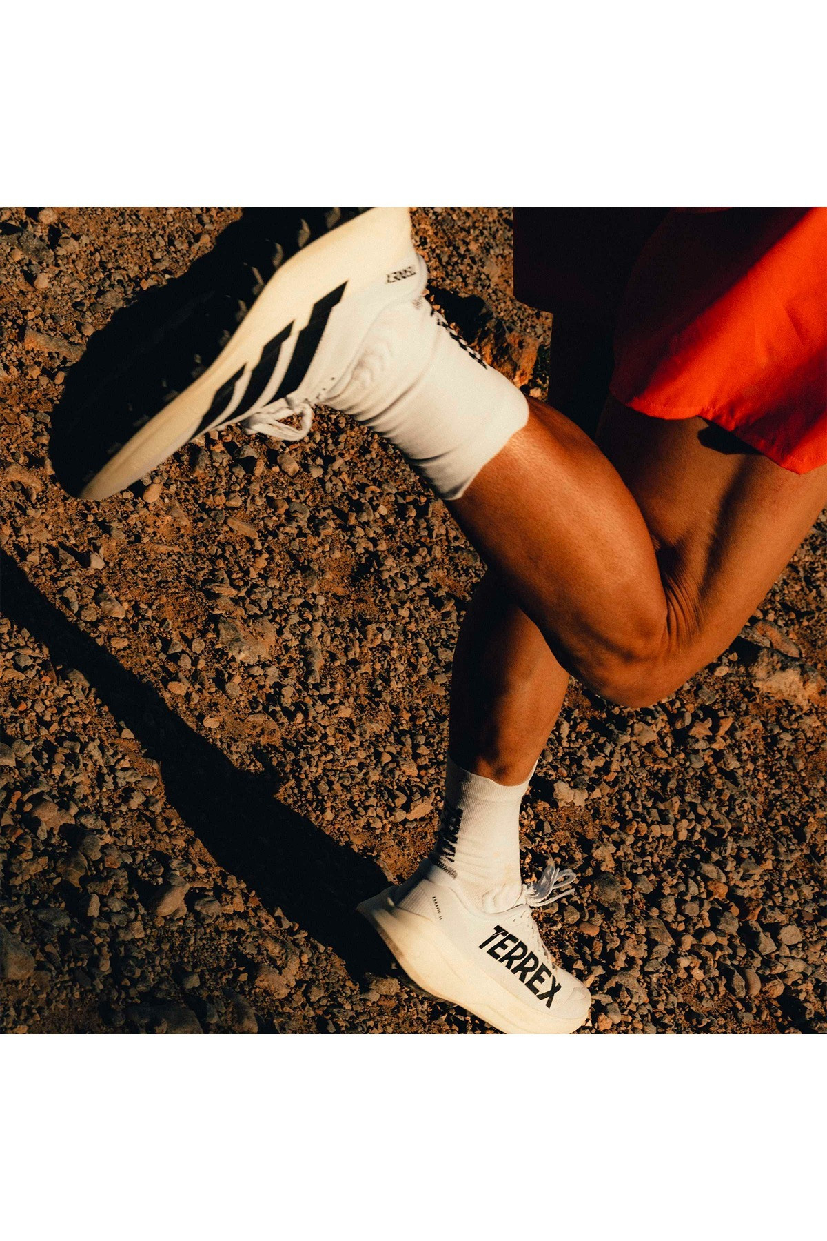 adidas Erkek Koşu Ayakkabısı TERREX AGRAVIC SL KH8800