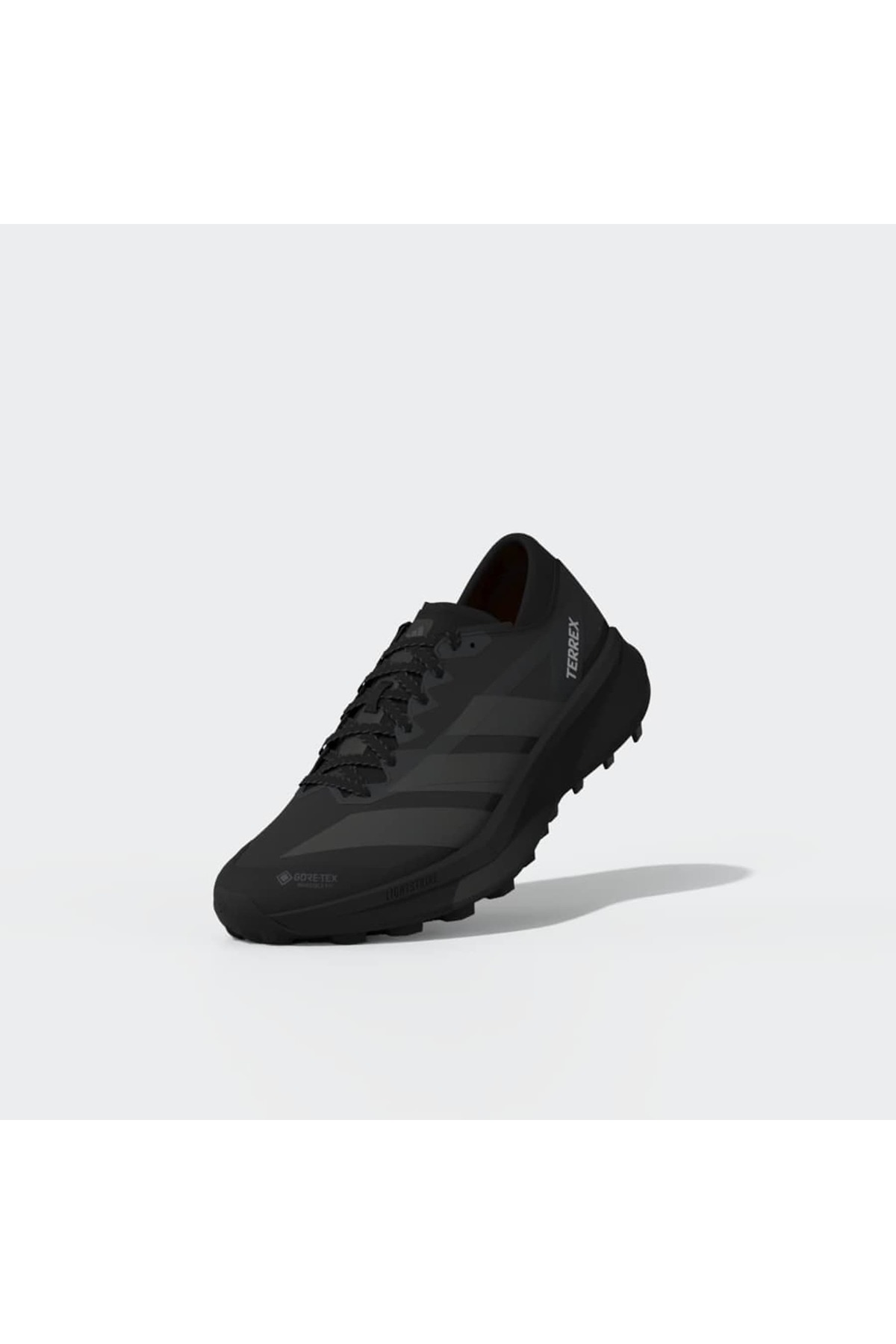 adidas Erkek Koşu Ayakkabısı TERREX AGRAVIC GTX 2 HQ5089