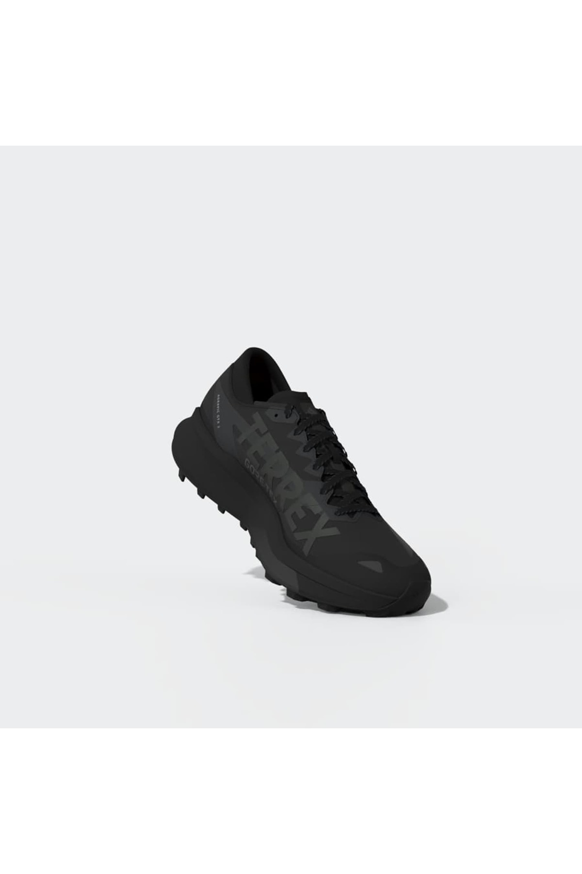 adidas Erkek Koşu Ayakkabısı TERREX AGRAVIC GTX 2 HQ5089