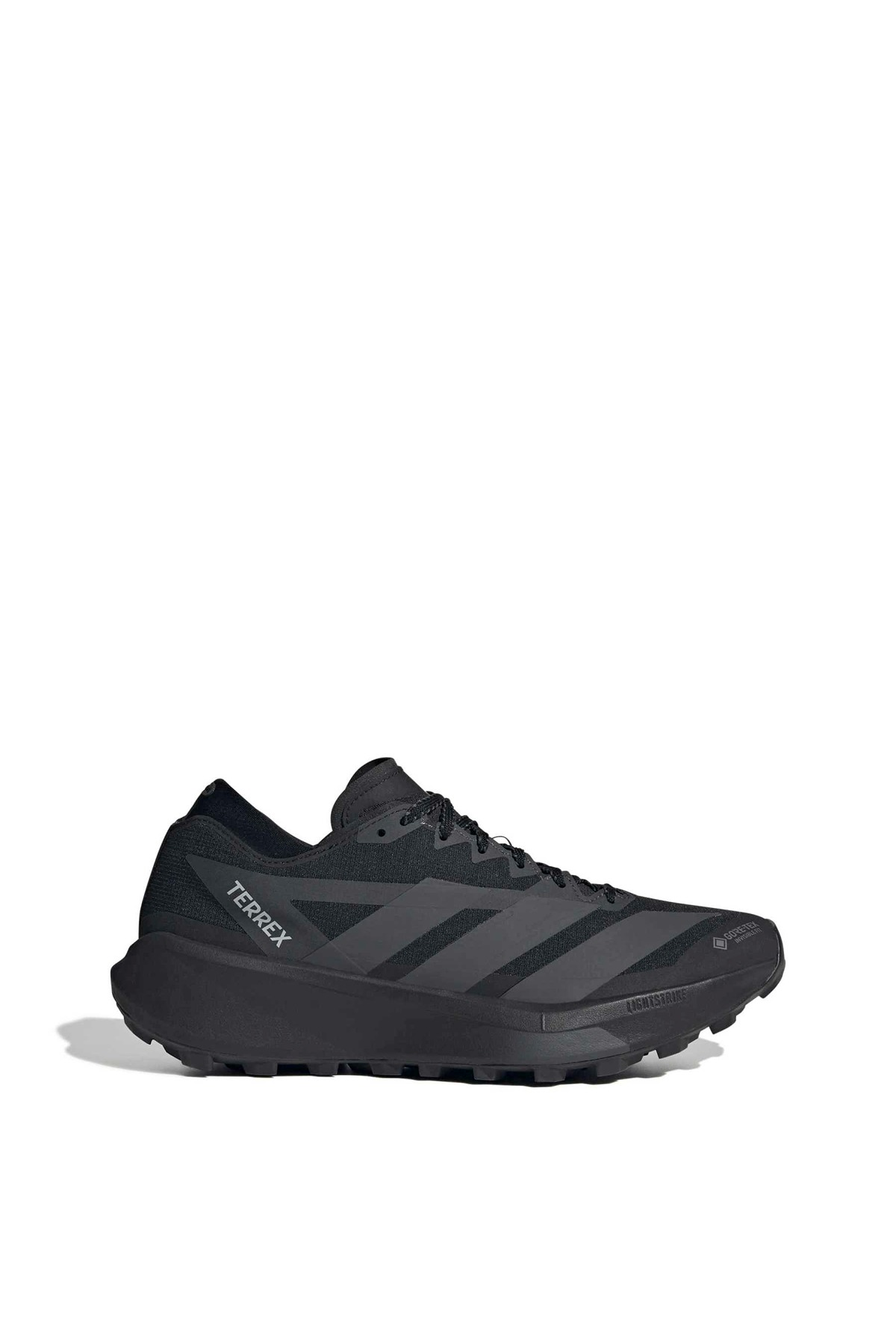 adidas Erkek Koşu Ayakkabısı TERREX AGRAVIC GTX 2 HQ5089