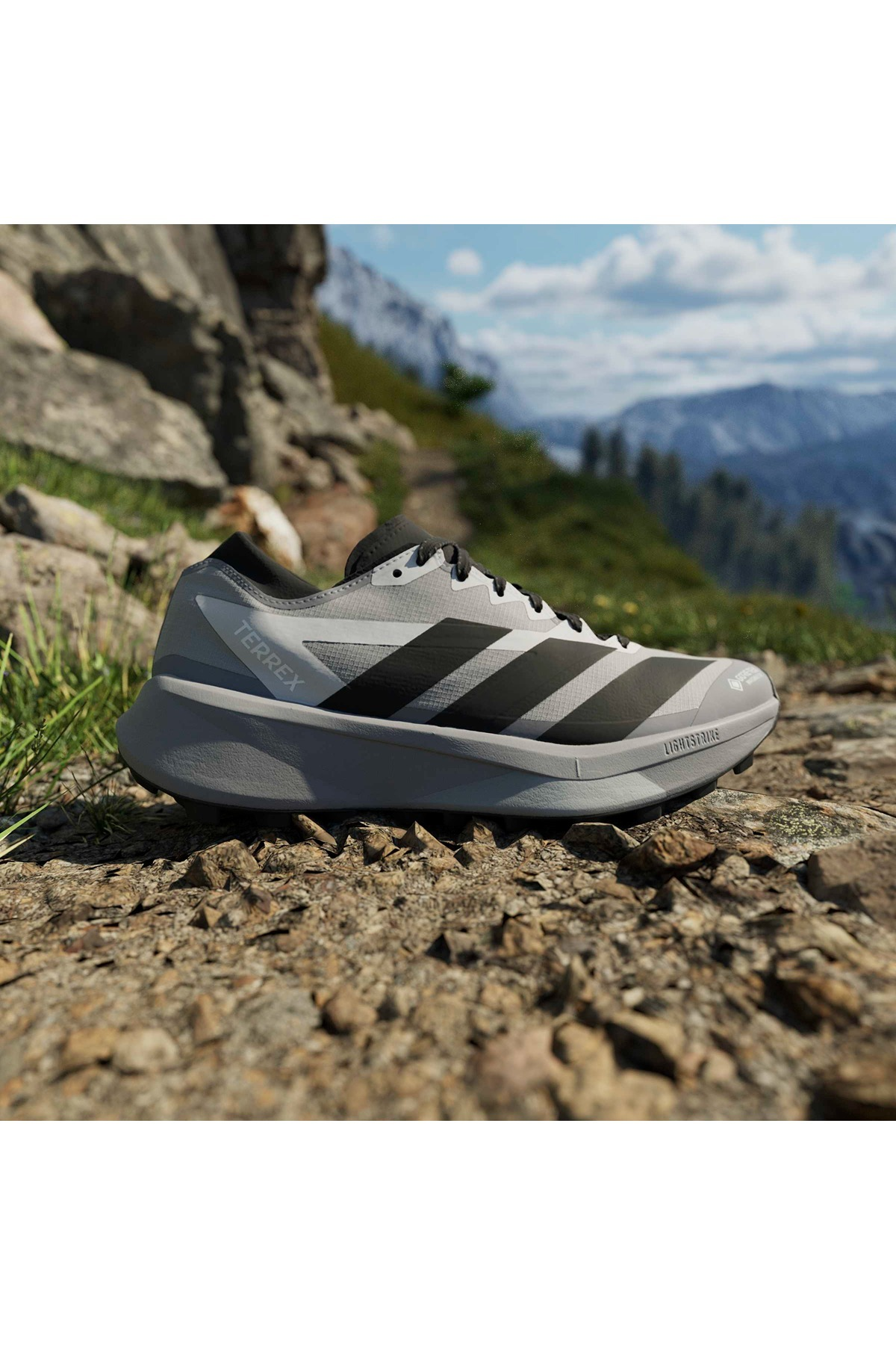 adidas Erkek Koşu Ayakkabısı TERREX AGRAVIC GTX 2 HQ5090