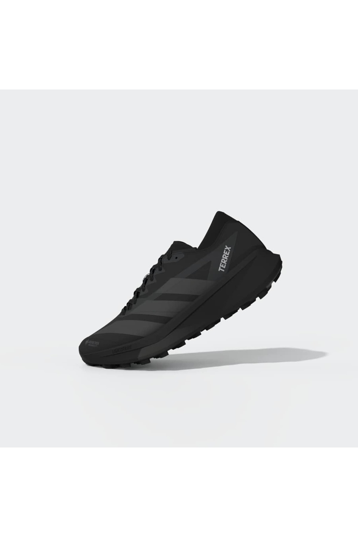 adidas Erkek Koşu Ayakkabısı TERREX AGRAVIC GTX 2 HQ5089