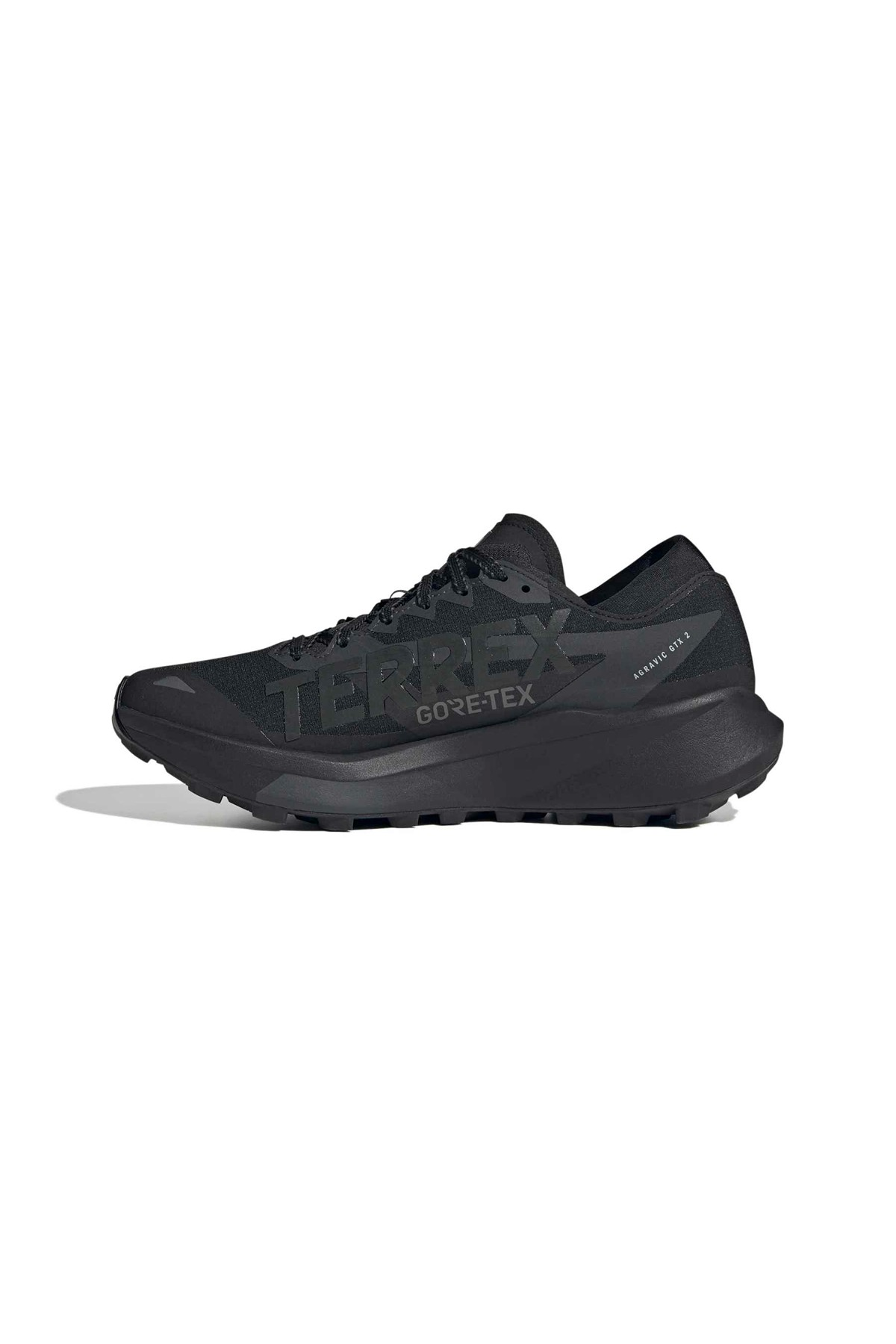 adidas Erkek Koşu Ayakkabısı TERREX AGRAVIC GTX 2 HQ5089