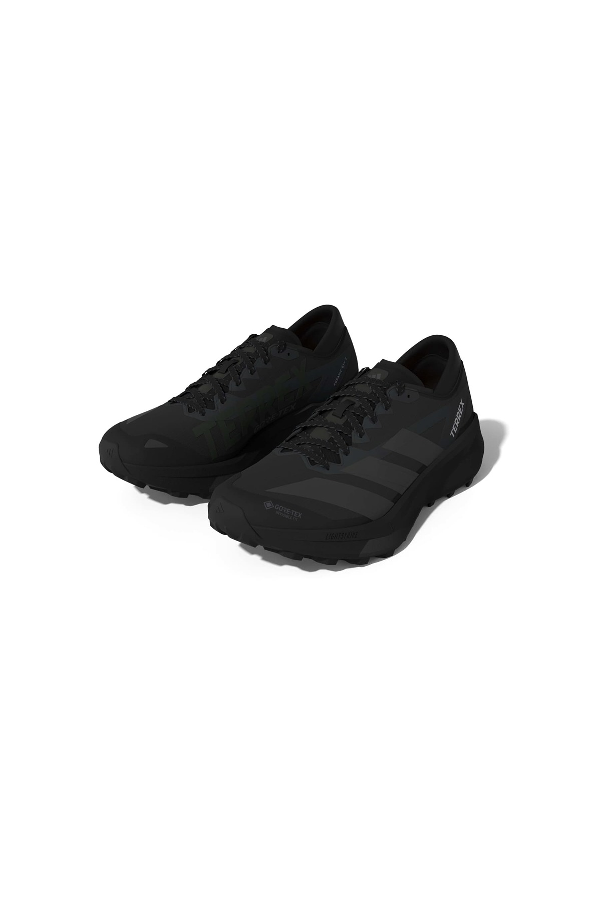adidas Erkek Koşu Ayakkabısı TERREX AGRAVIC GTX 2 HQ5089