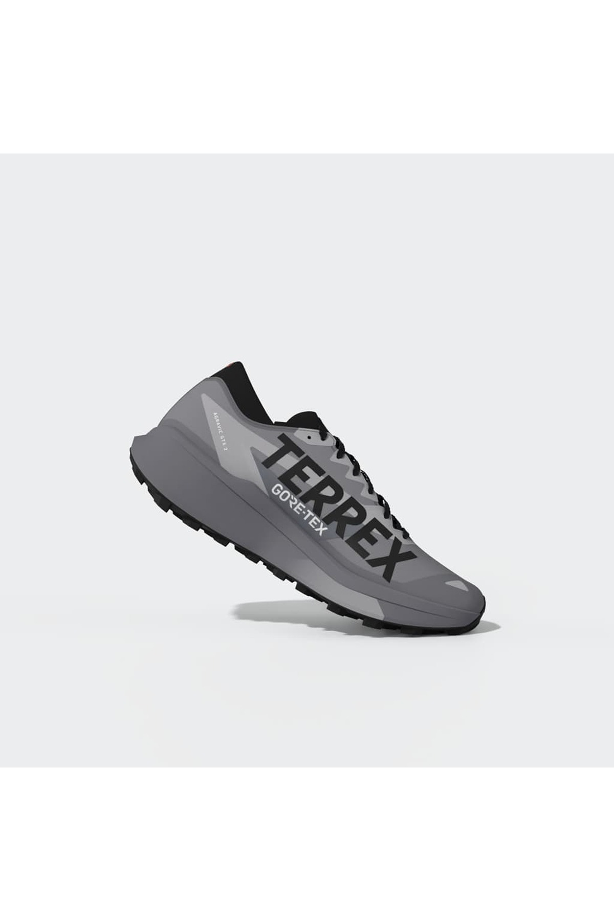 adidas Erkek Koşu Ayakkabısı TERREX AGRAVIC GTX 2 HQ5090