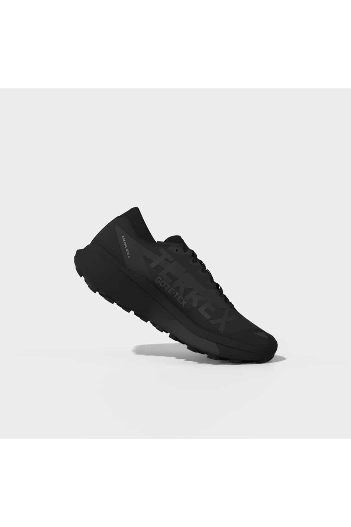 adidas Erkek Koşu Ayakkabısı TERREX AGRAVIC GTX 2 HQ5089