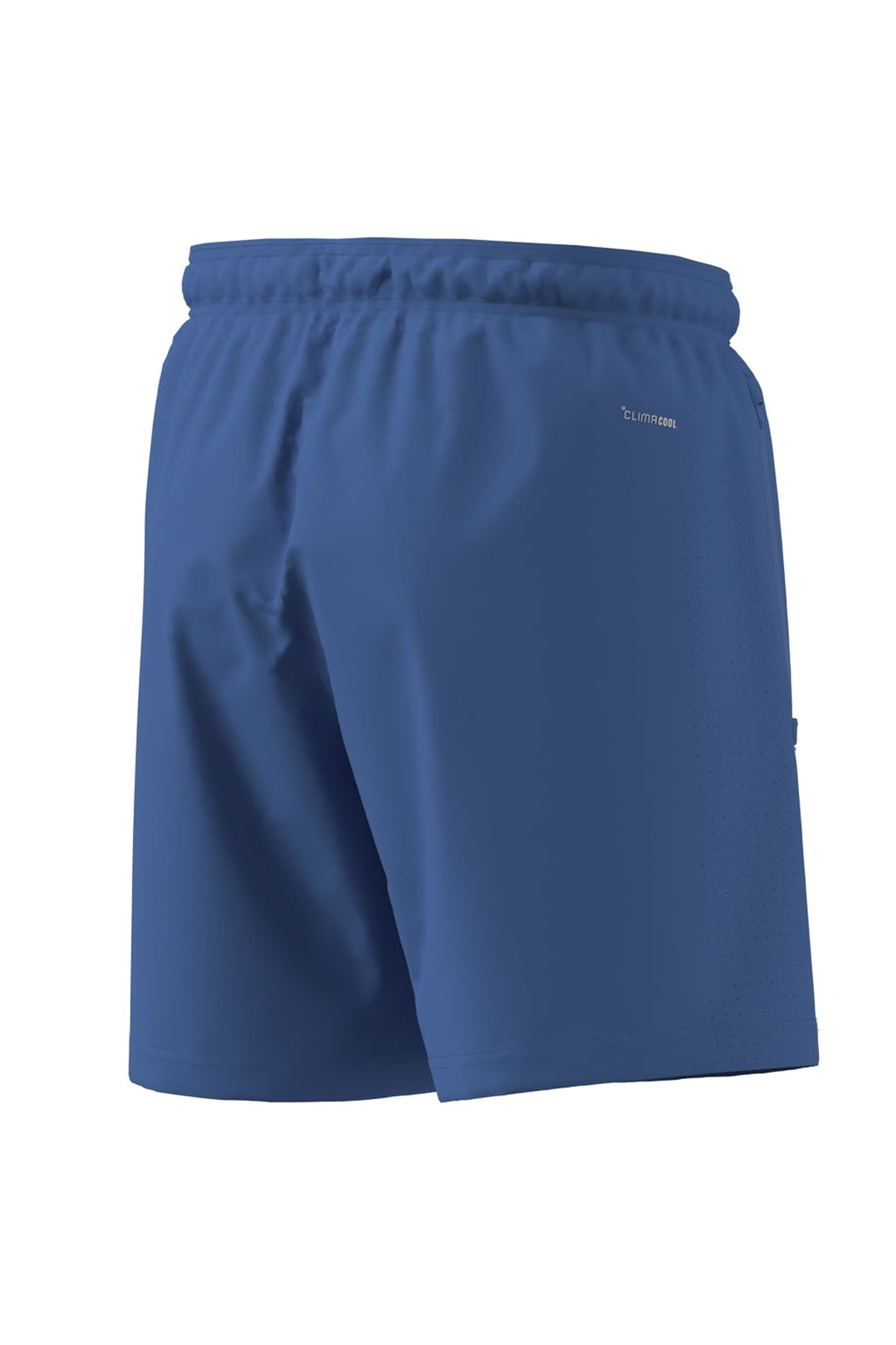 adidas Erkek Mavi  Şort WE BAS WV SHO KD2960