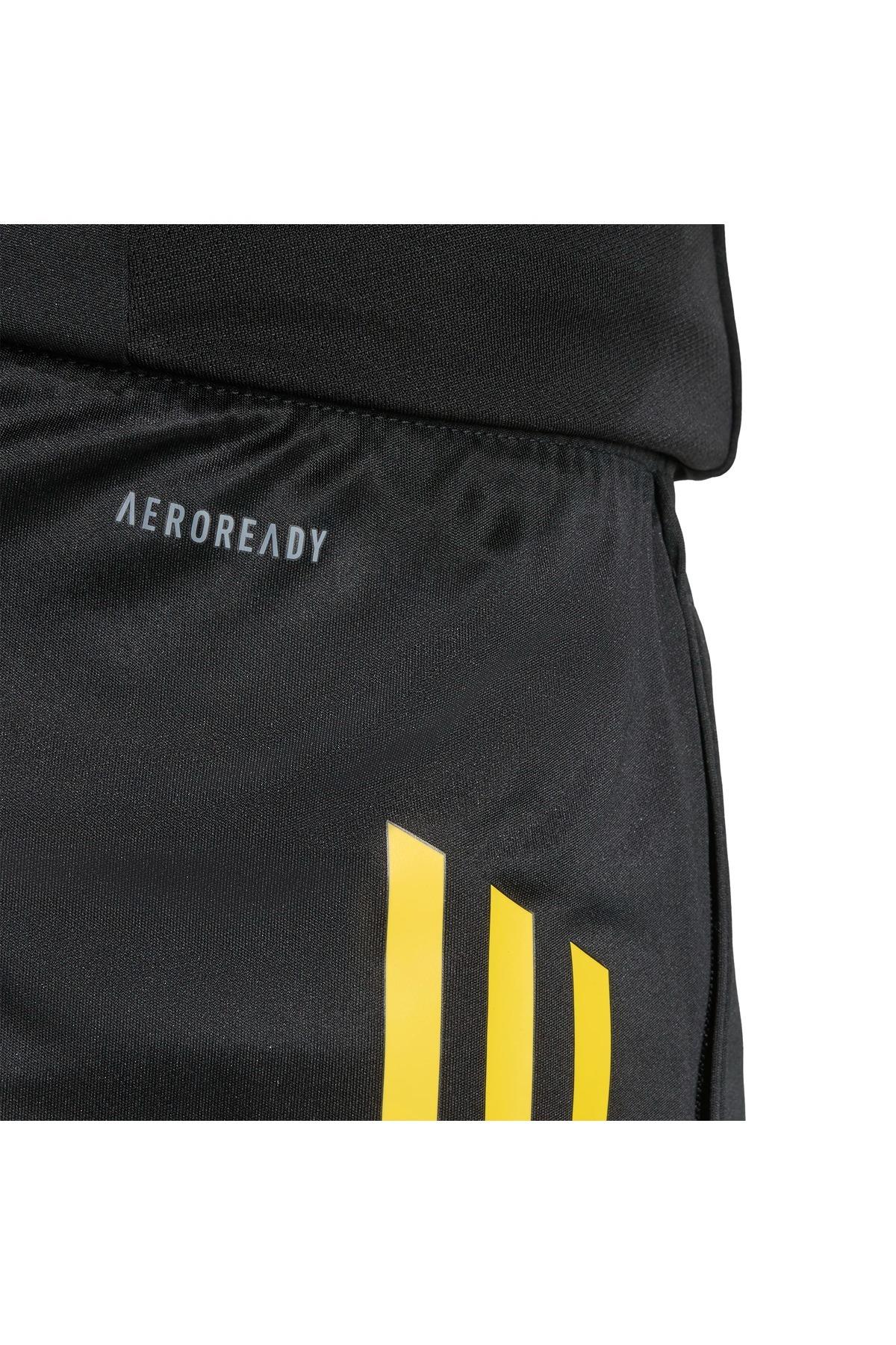adidas Erkek  Siyah  Şort MUFC EU TR SHO JP3140
