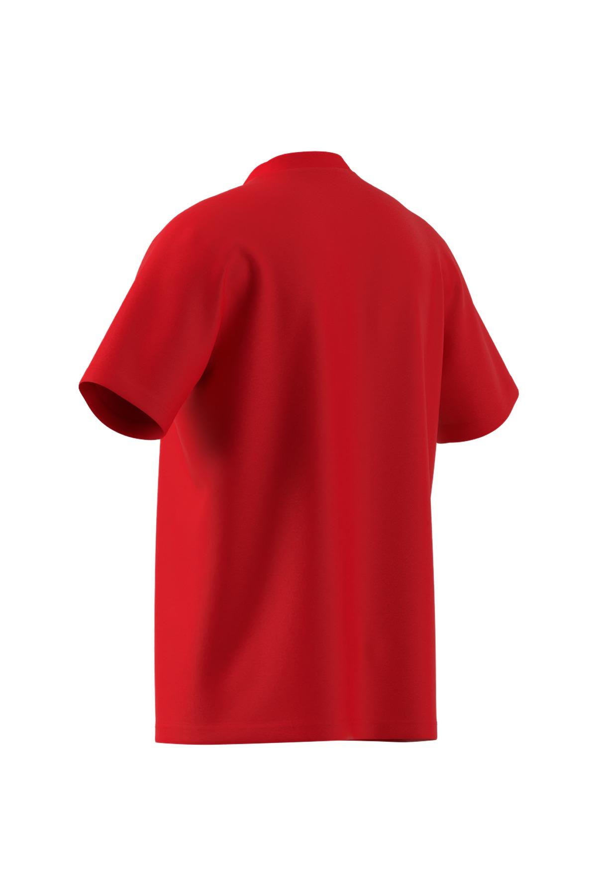 adidas Erkek   T-shirt M SL SJ T JF1095