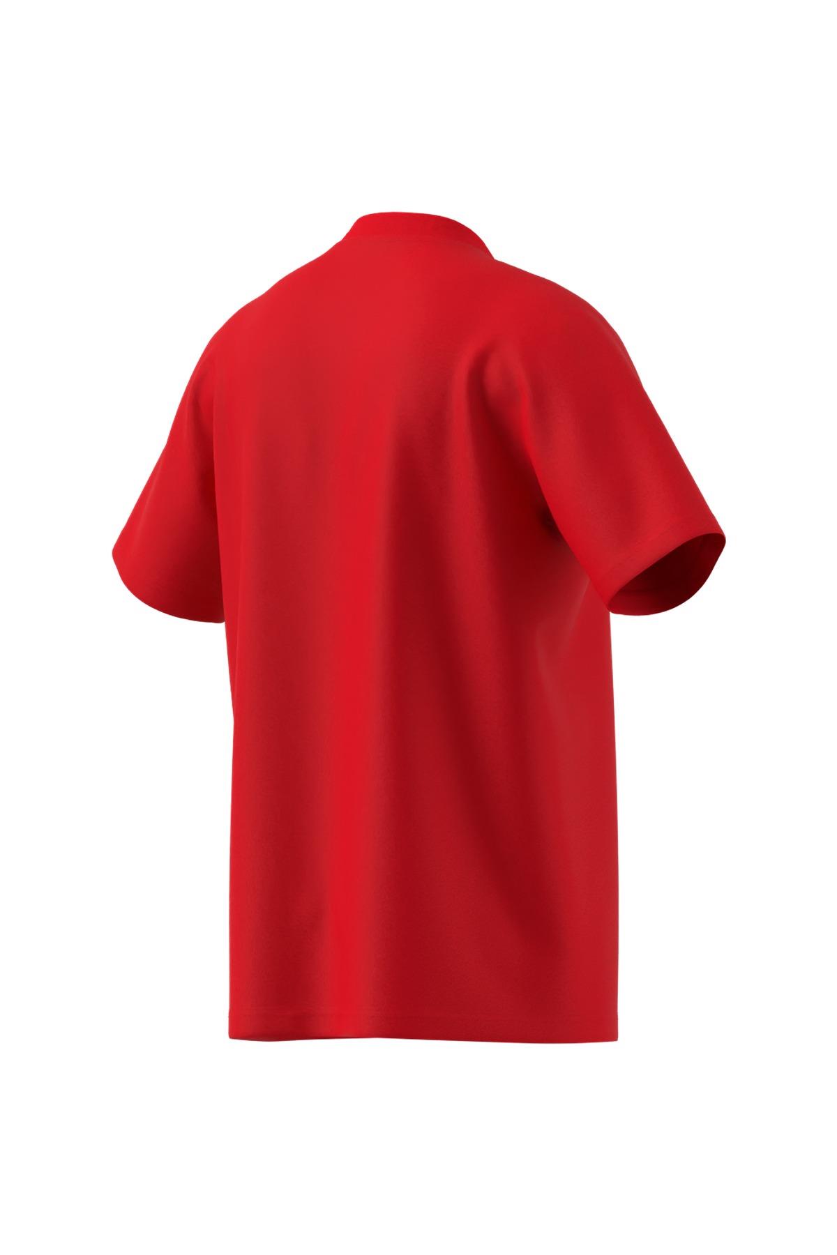adidas Erkek   T-shirt M SL SJ T JF1095