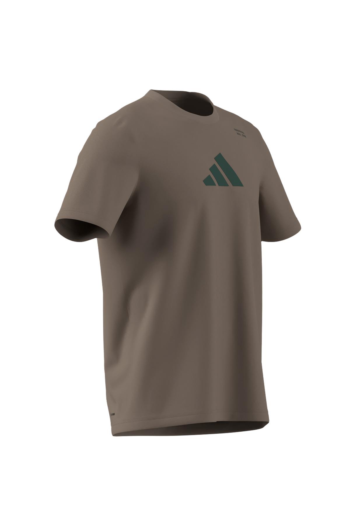 adidas Erkek   T-shirt M TR CAT G T JM8977