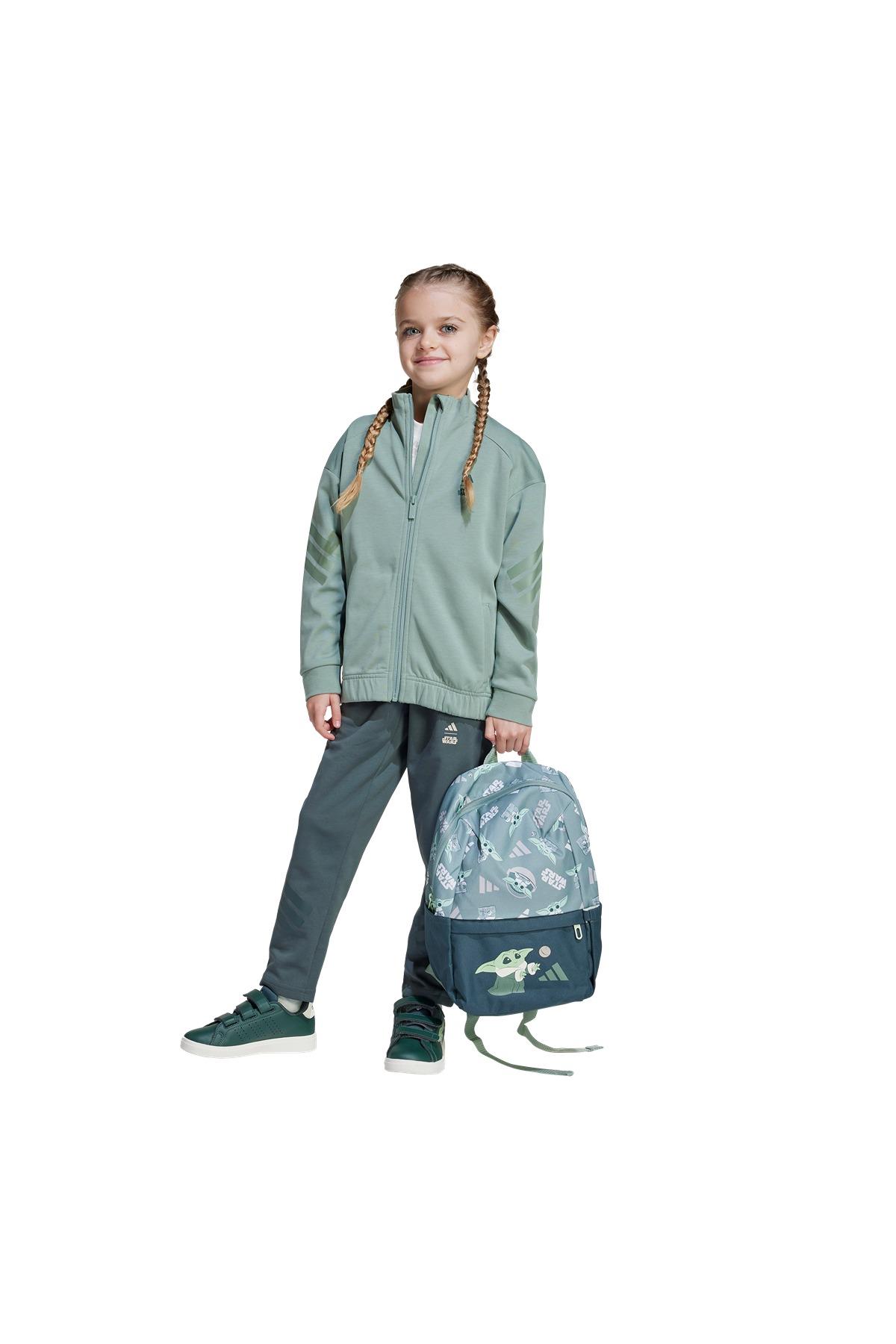 adidas Erkek  Yeşil  Ceket LK SW MNDO TT JF3653