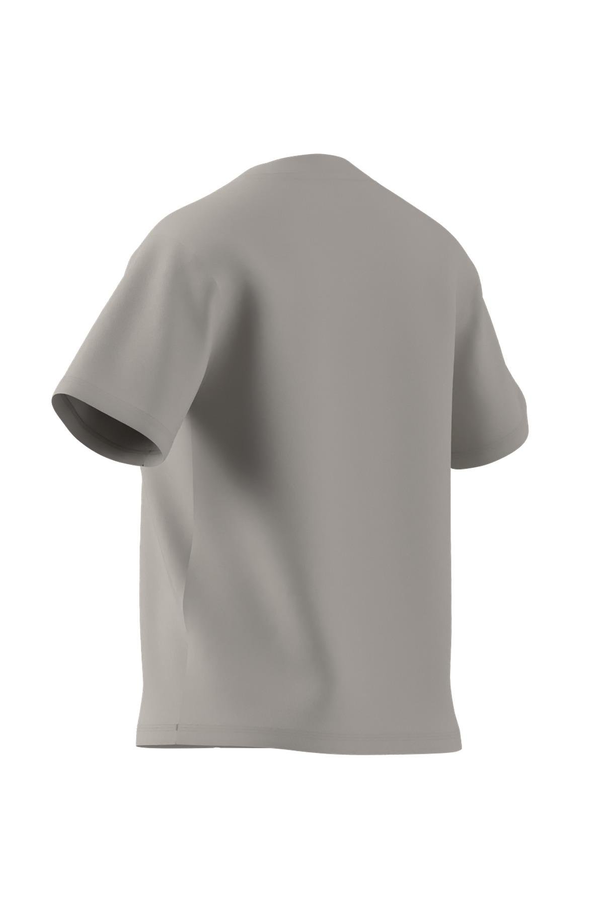 adidas Gri Kadın   T-shirt W SL SJ T JI6079