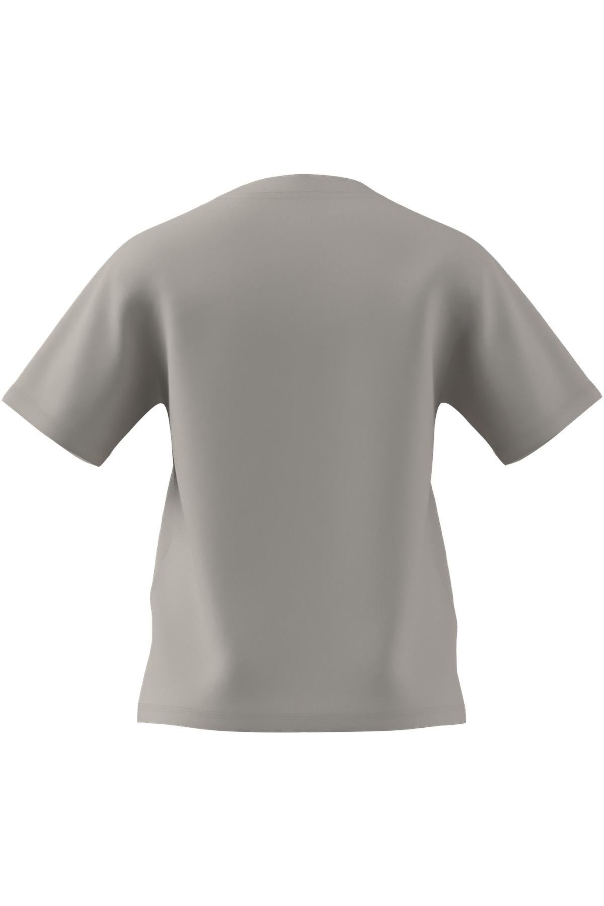 adidas Gri Kadın   T-shirt W SL SJ T JI6079