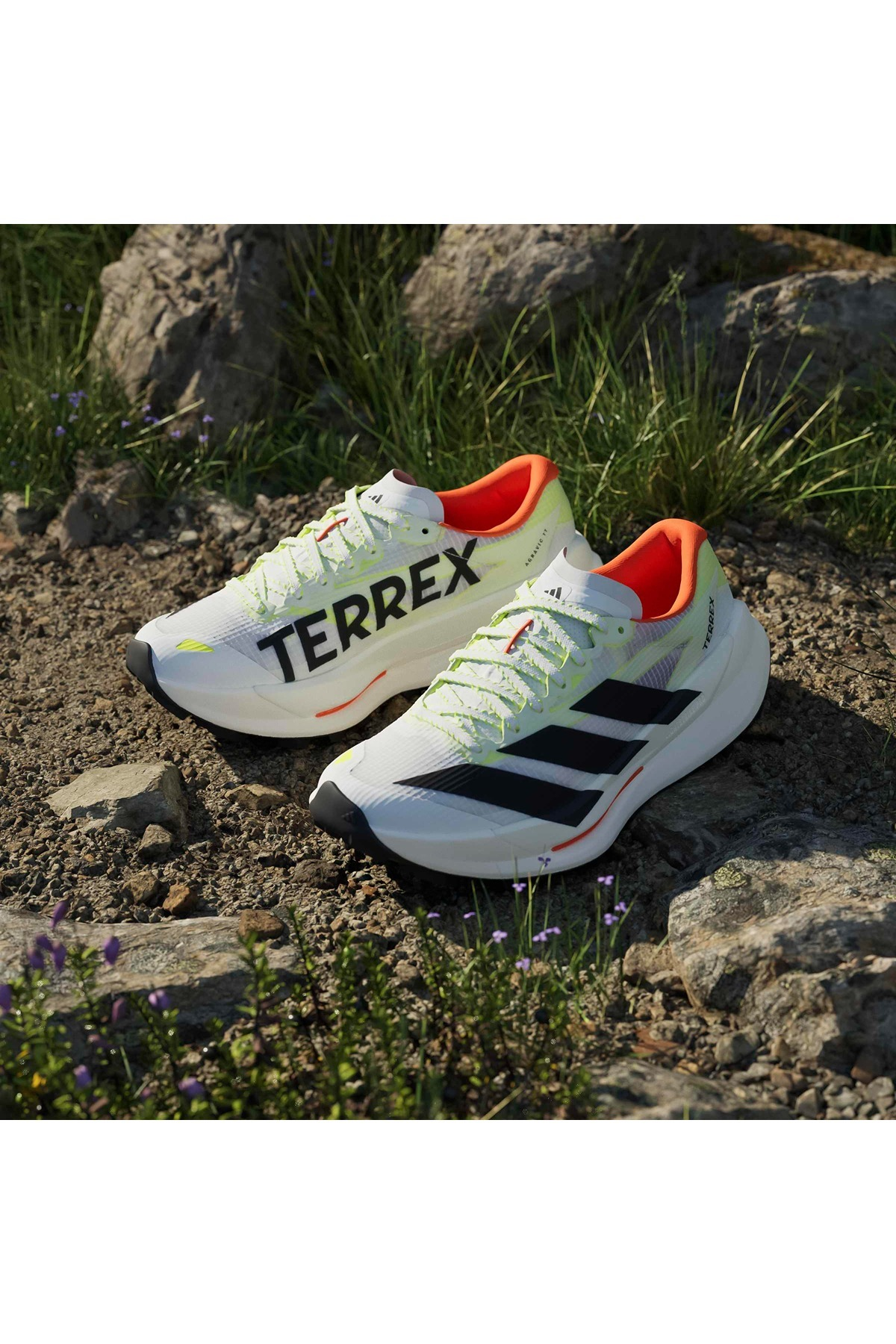 adidas Kadın Koşu Ayakkabısı TERREX AGRAVIC TT W HP7013