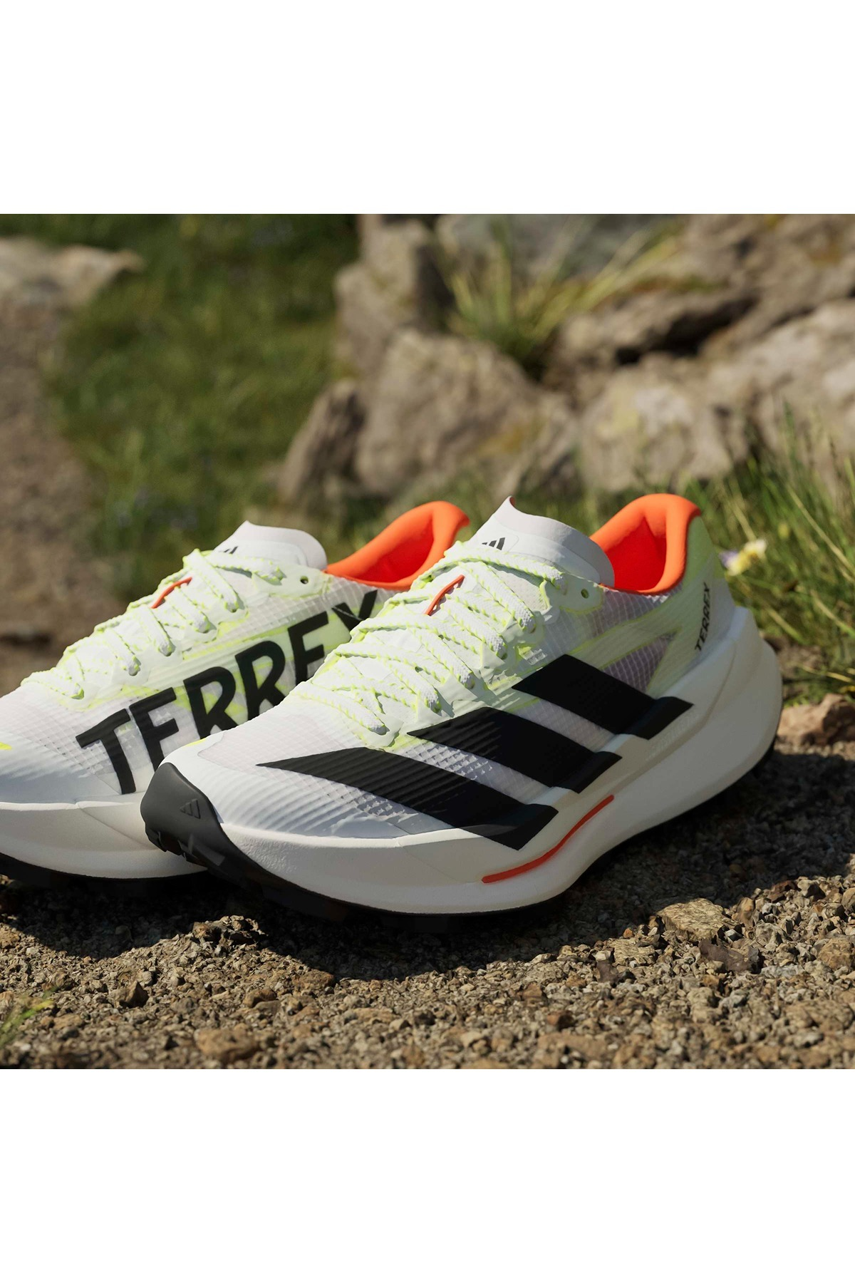 adidas Kadın Koşu Ayakkabısı TERREX AGRAVIC TT W HP7013