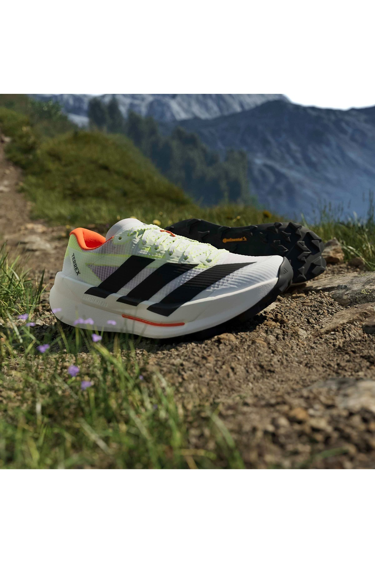 adidas Kadın Koşu Ayakkabısı TERREX AGRAVIC TT W HP7013