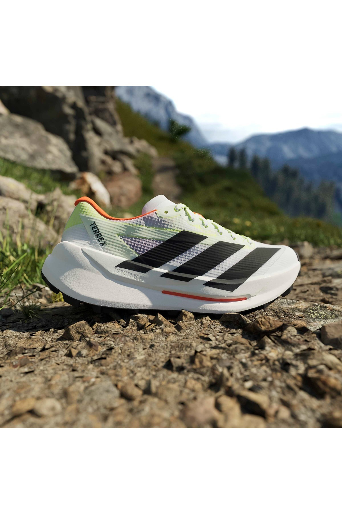 adidas Kadın Koşu Ayakkabısı TERREX AGRAVIC TT W HP7013