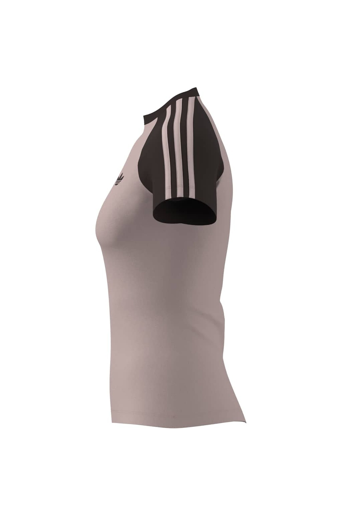 adidas Kadın  Pembe  T-shirt SST TEE KD3800