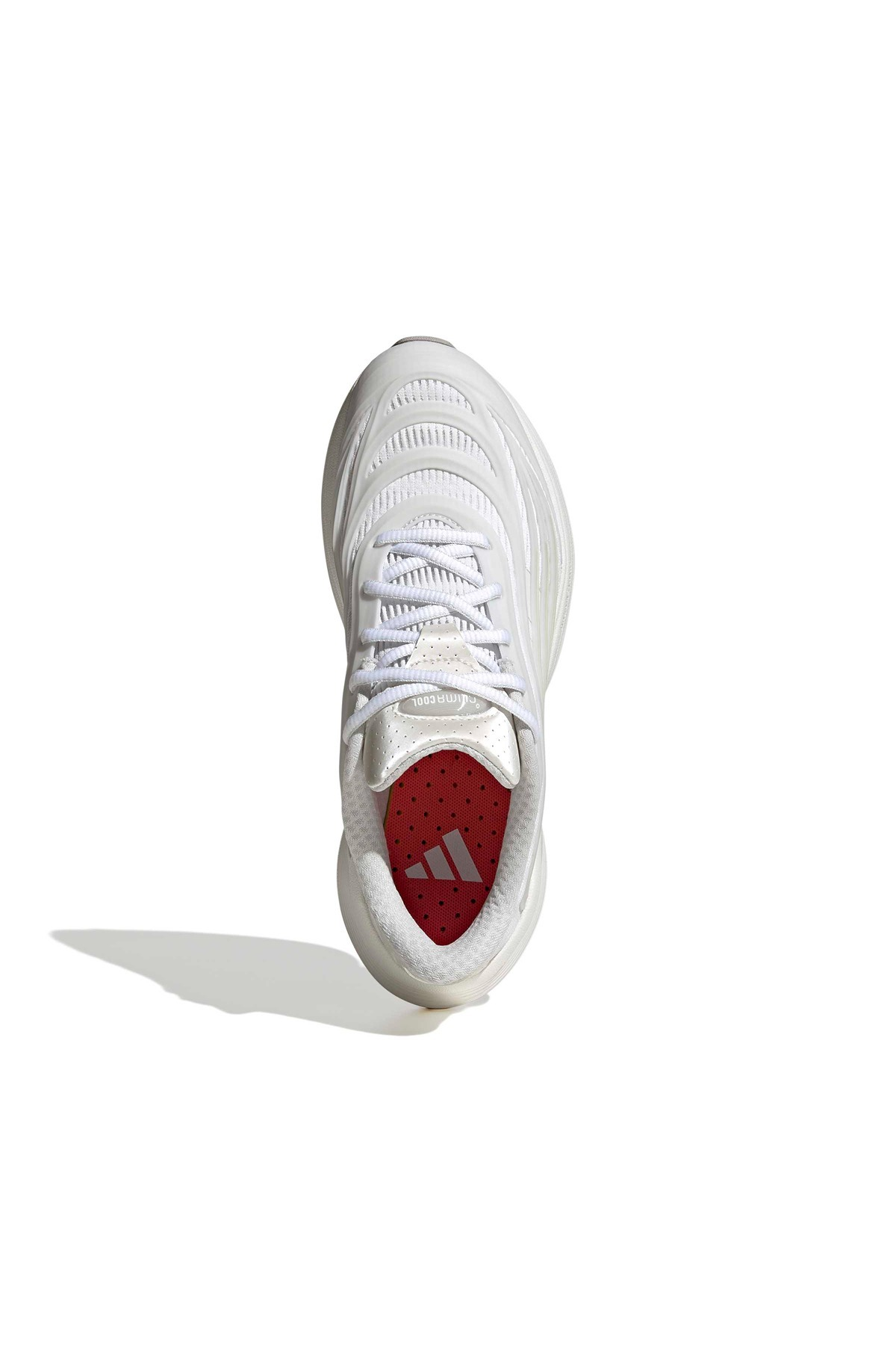 adidas  Kadın  Sneaker CLIMACOOL SPW HQ4973