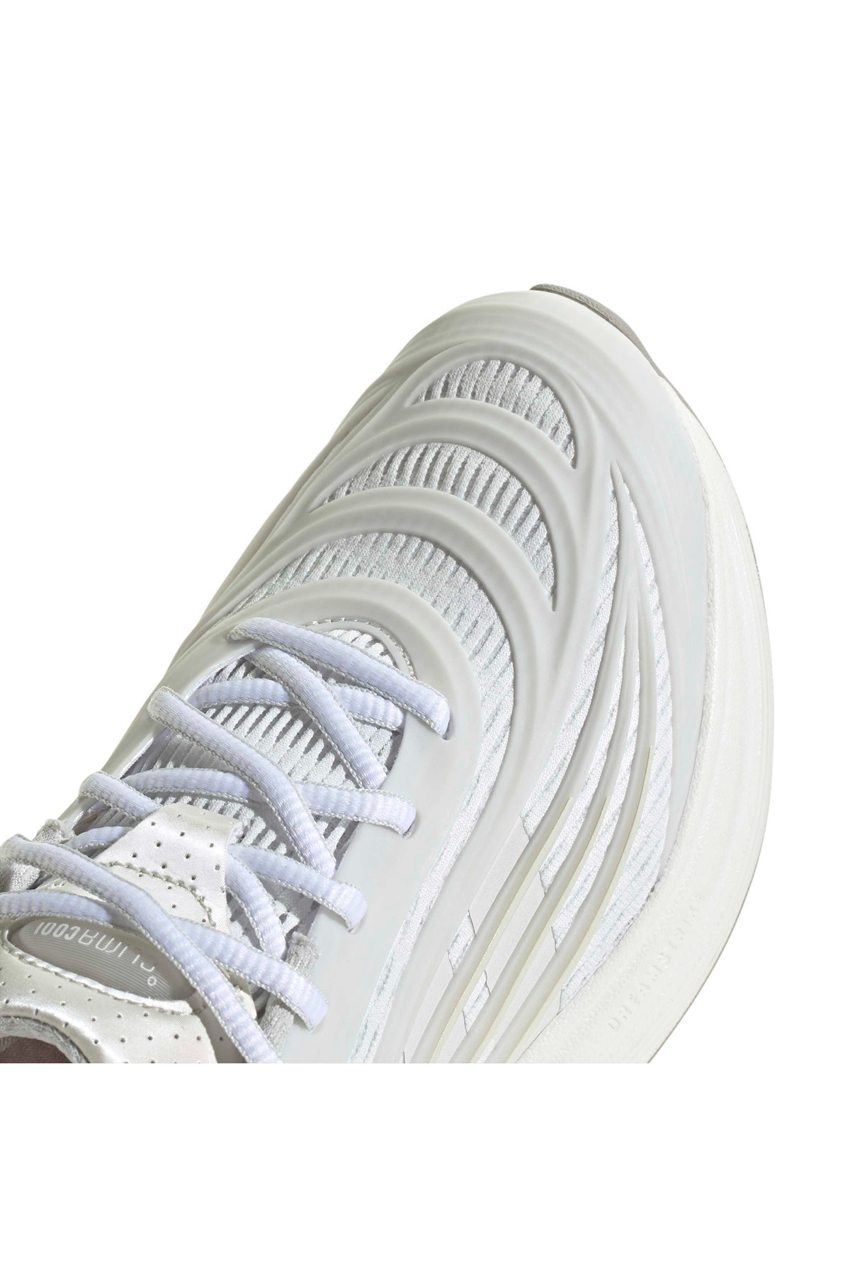 adidas  Kadın  Sneaker CLIMACOOL SPW HQ4973