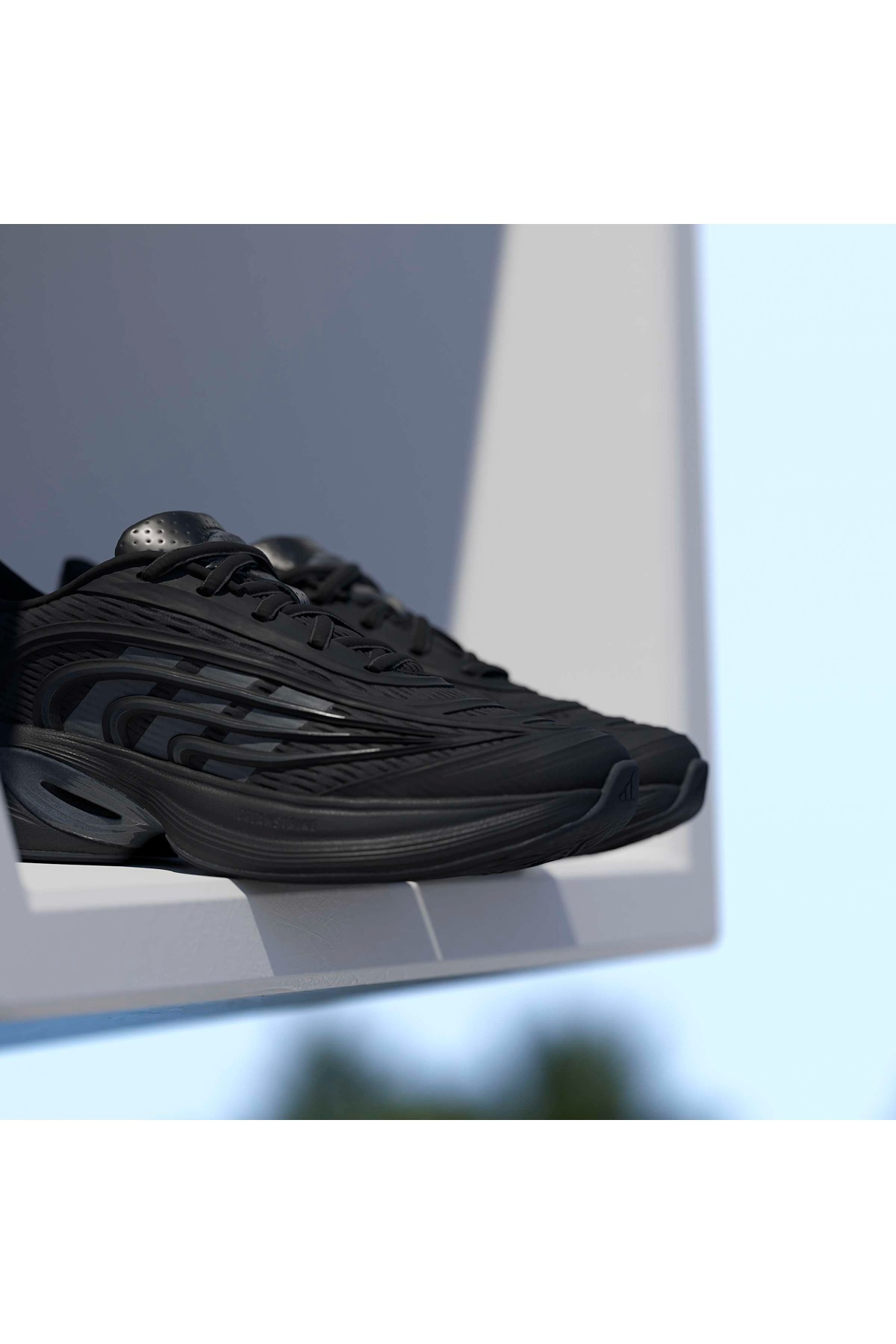 adidas  Kadın  Sneaker CLIMACOOL SPW HQ4972