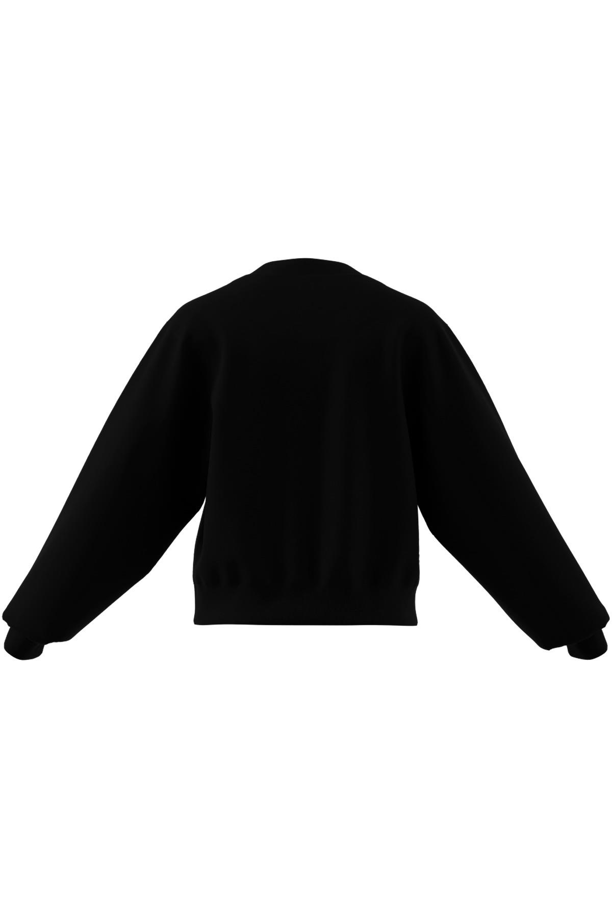 adidas Kadın   Sweatshirt aSMC REG SW SH JJ0150