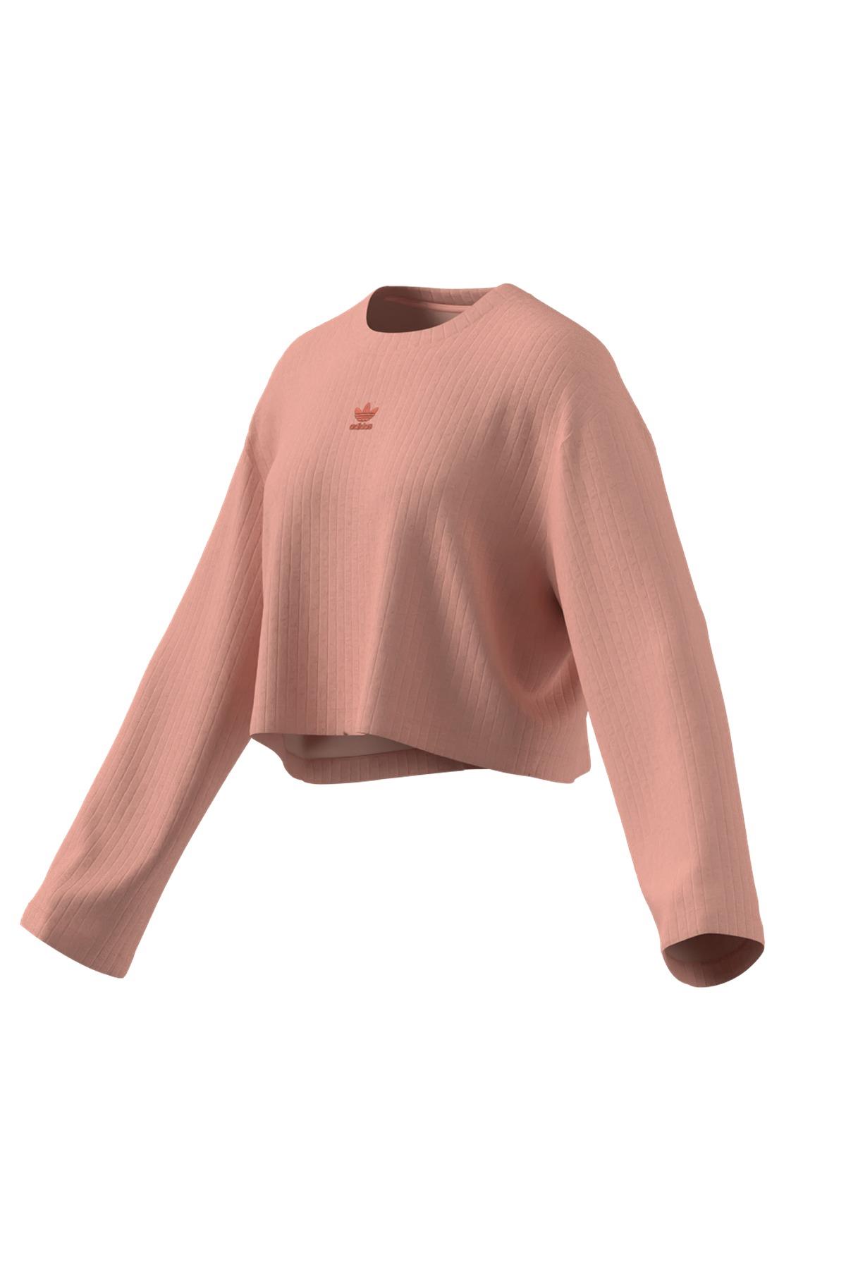 adidas Kadın   Sweatshirt ESS WR LS JD5122