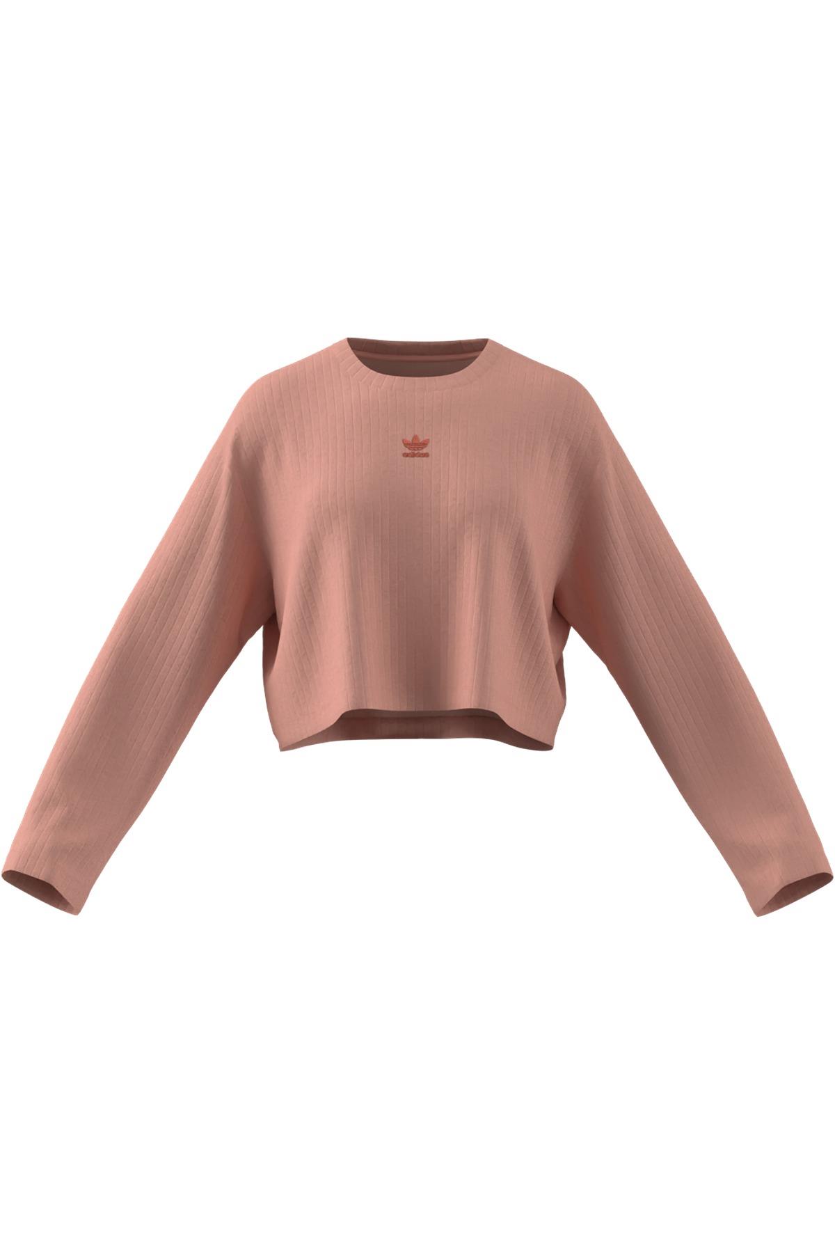 adidas Kadın   Sweatshirt ESS WR LS JD5122